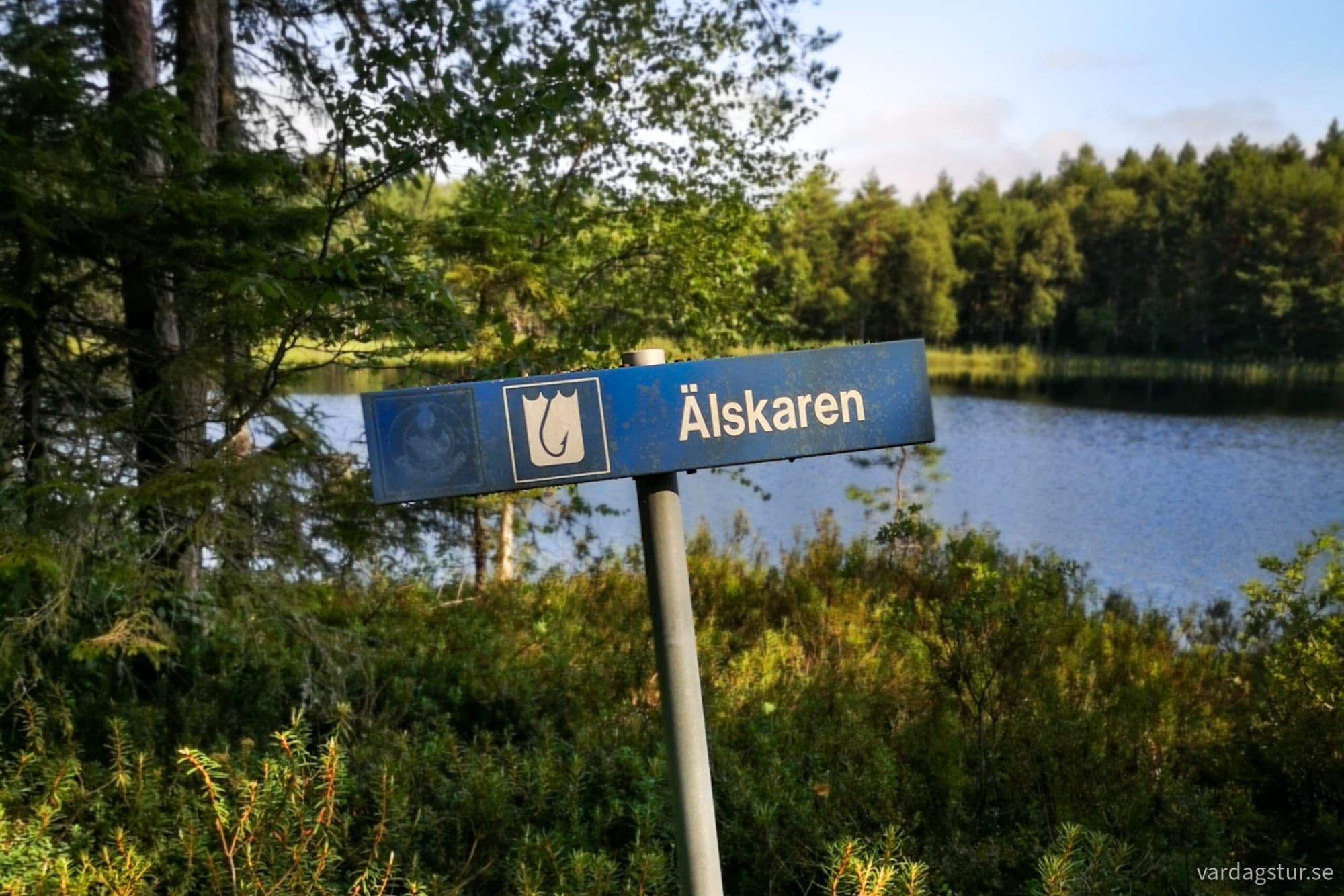 wp-17277099803245989580438608809500