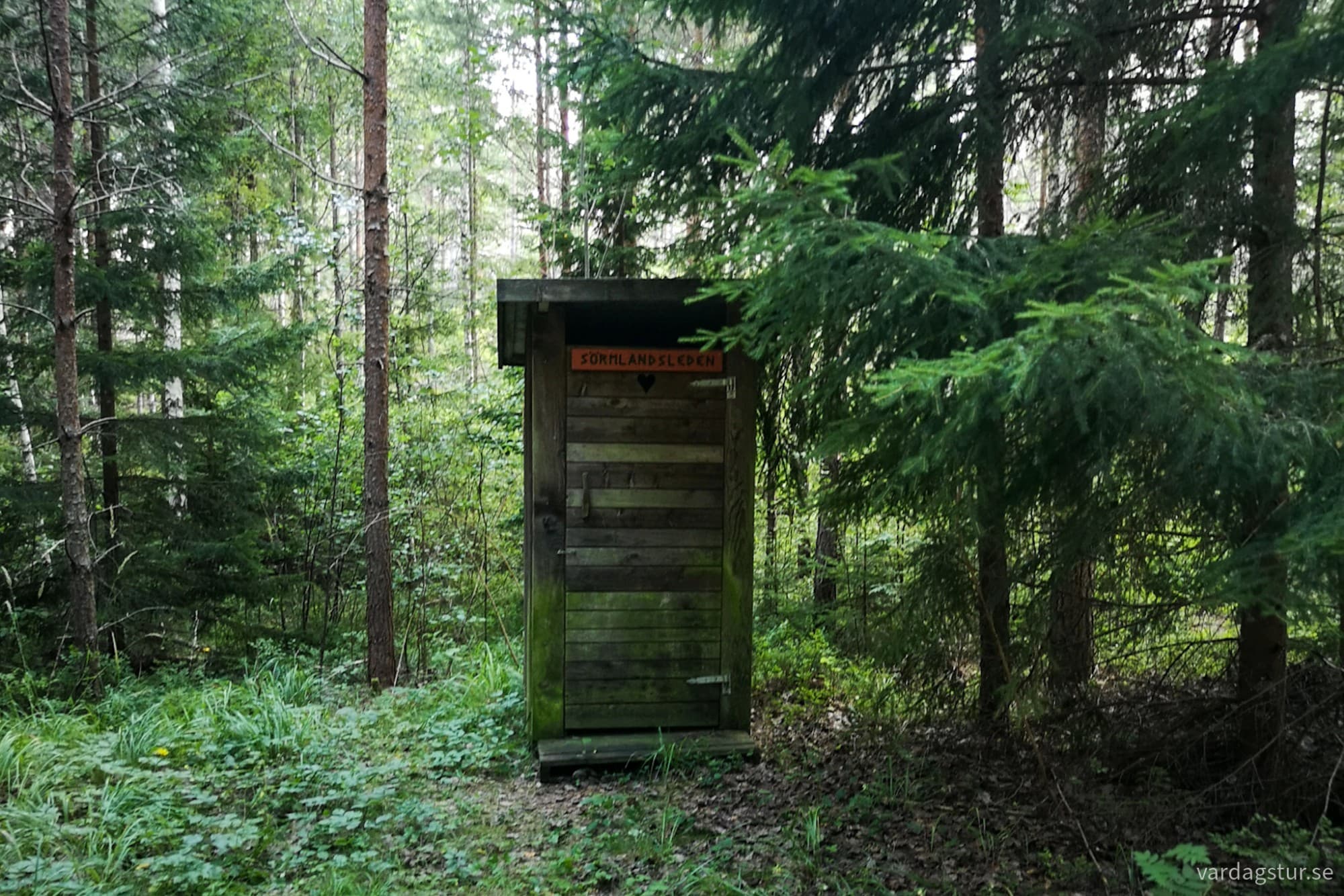 wp-1727710046970644960464779396039