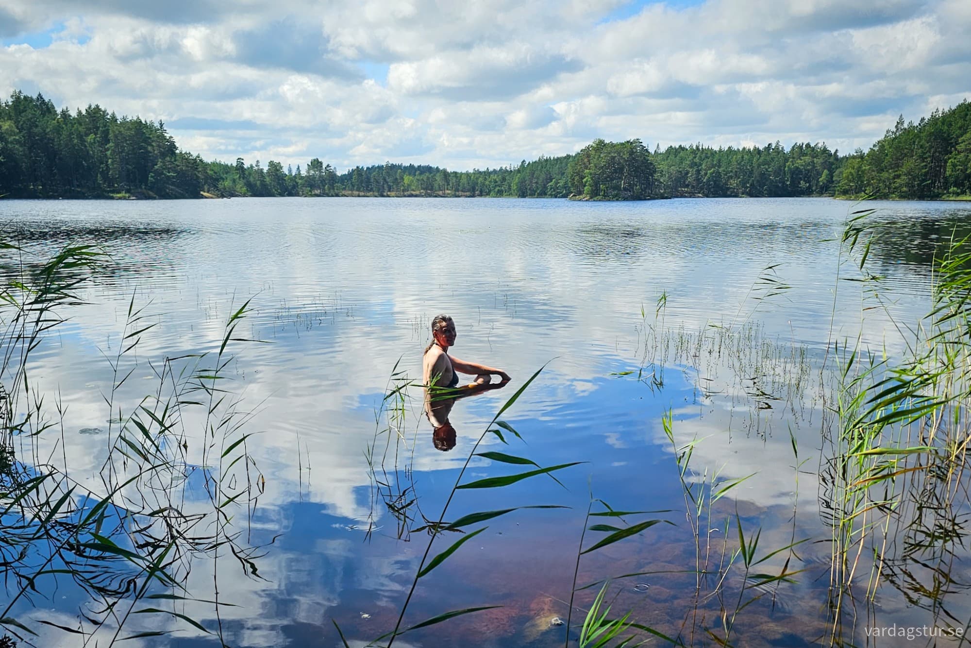 wp-17277100467823175121166353040302