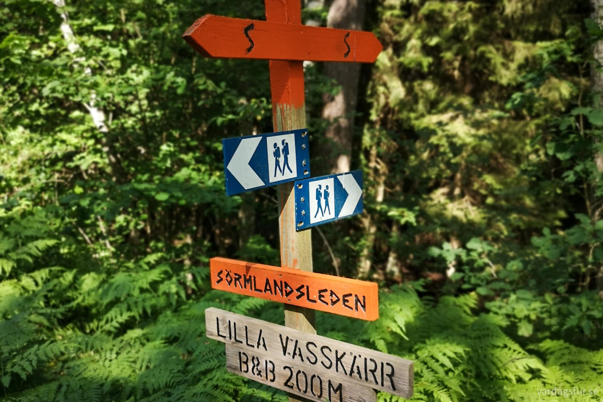 wp-17277103372367622316354149281924