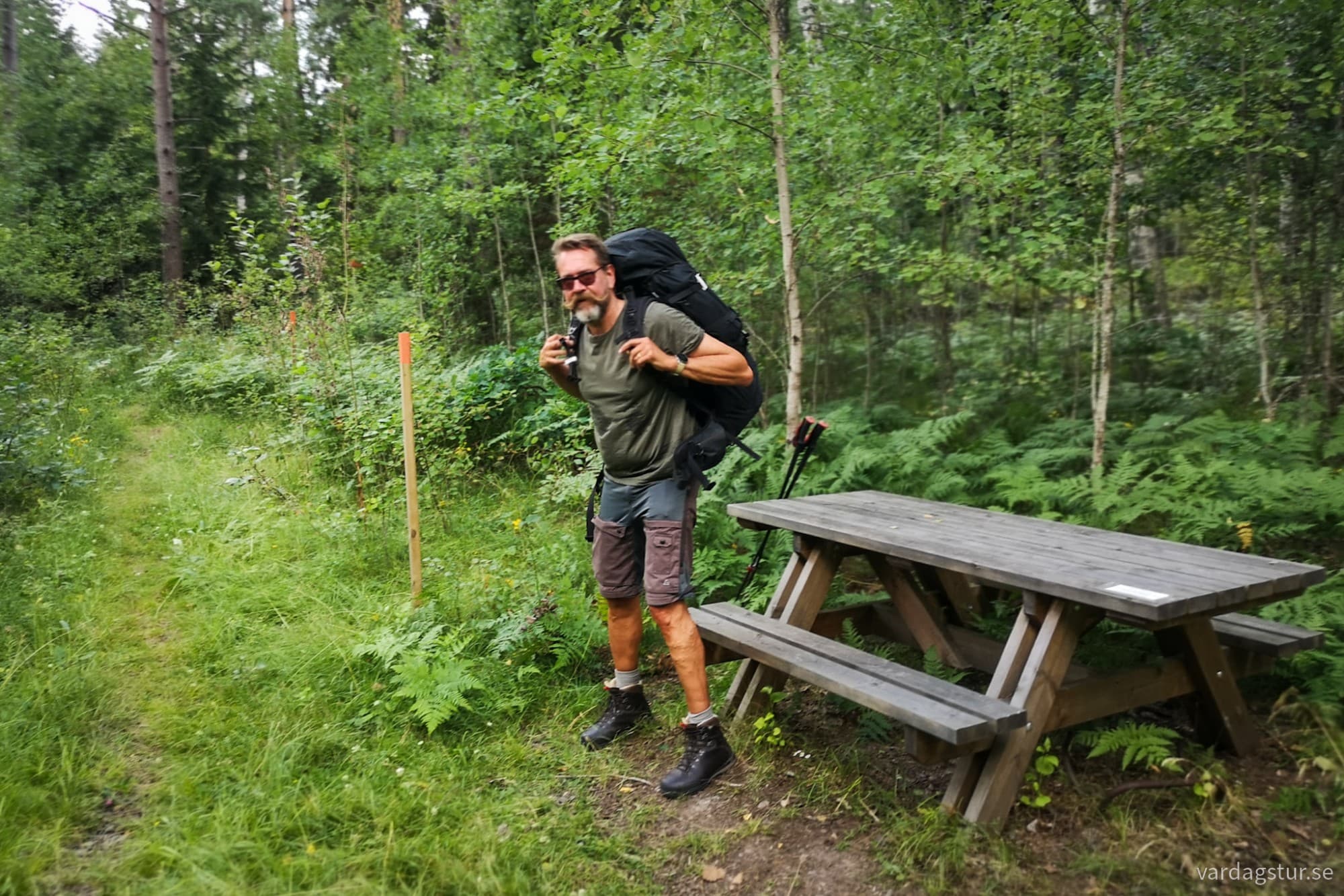 wp-17277103363488044515442392026621