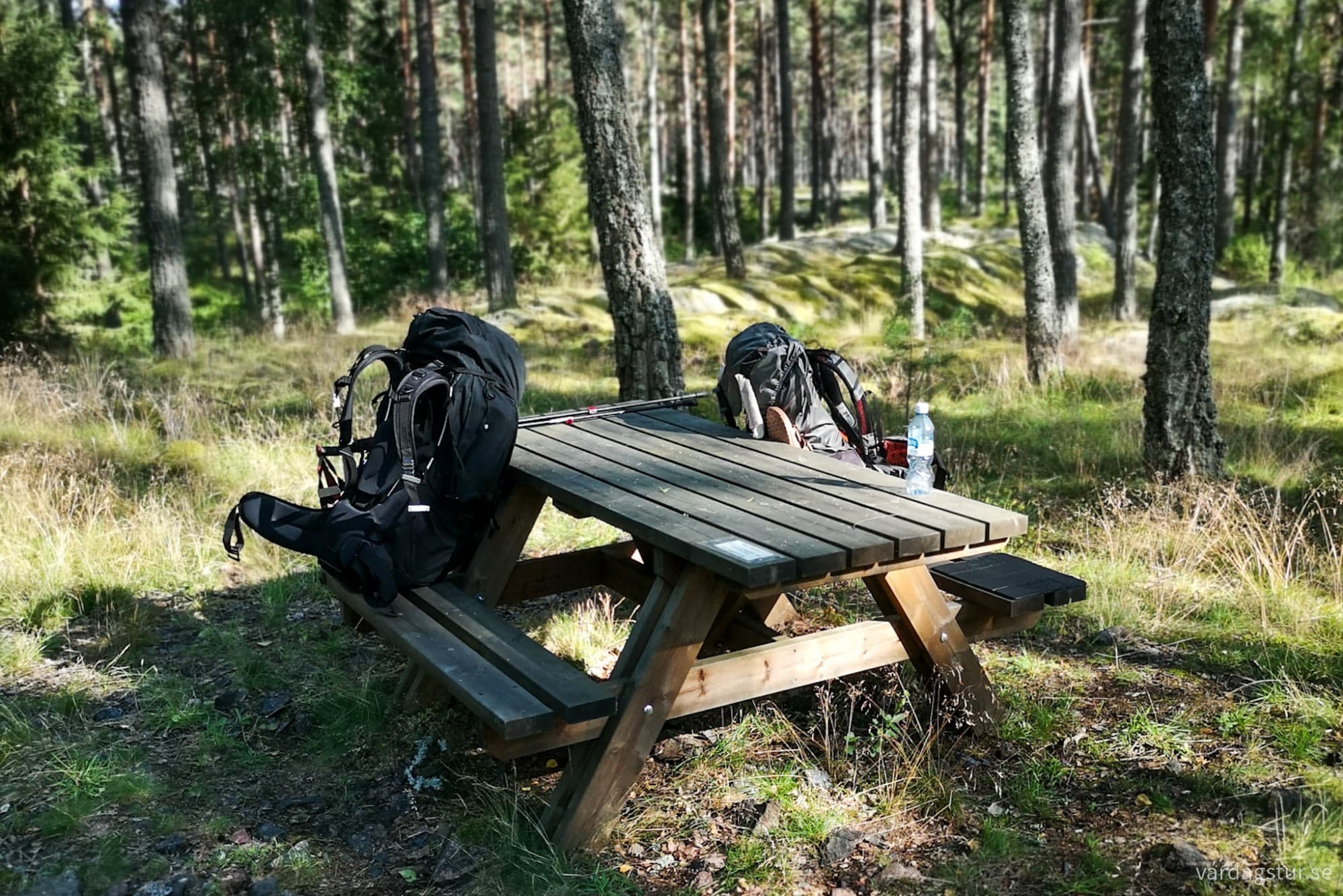 wp-17277103374497553879591890739247