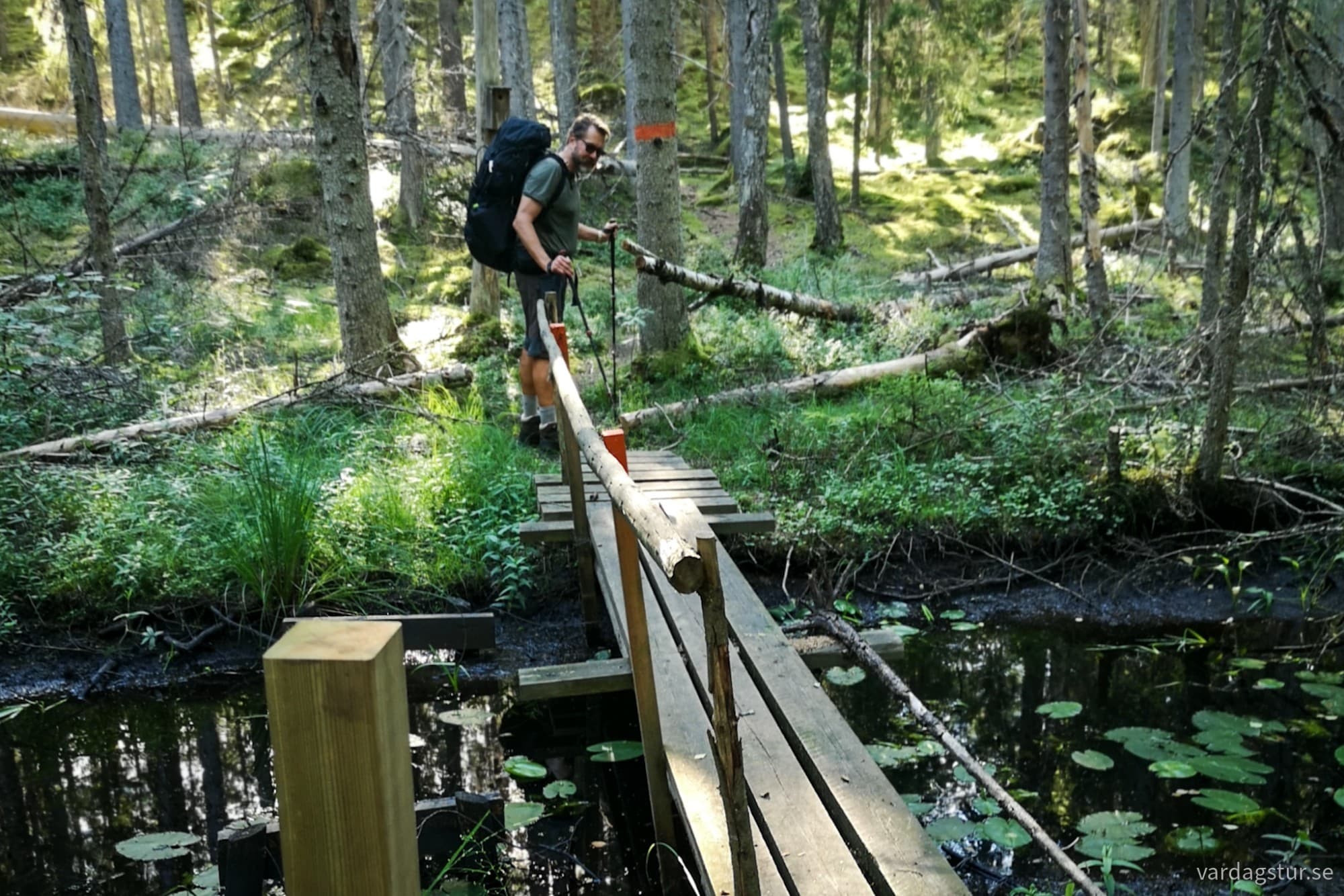 wp-17277103376987147815558704778016