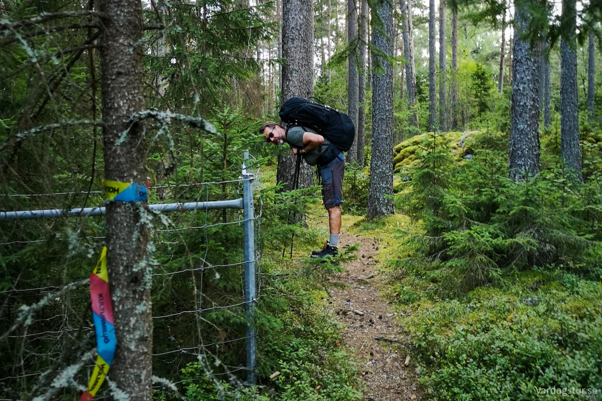 wp-17277103384009166087578513529820