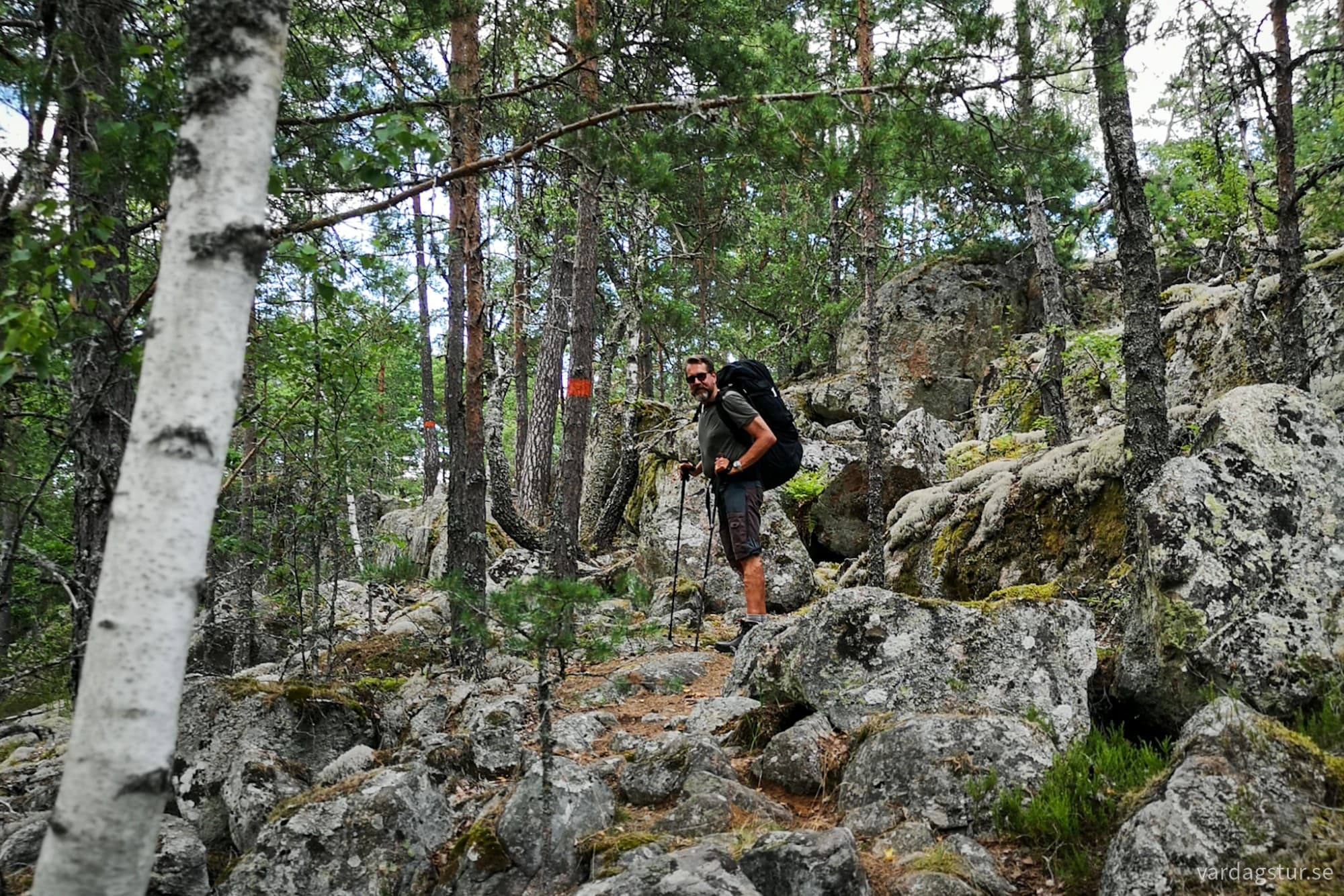 wp-1727710338880453485710718398898