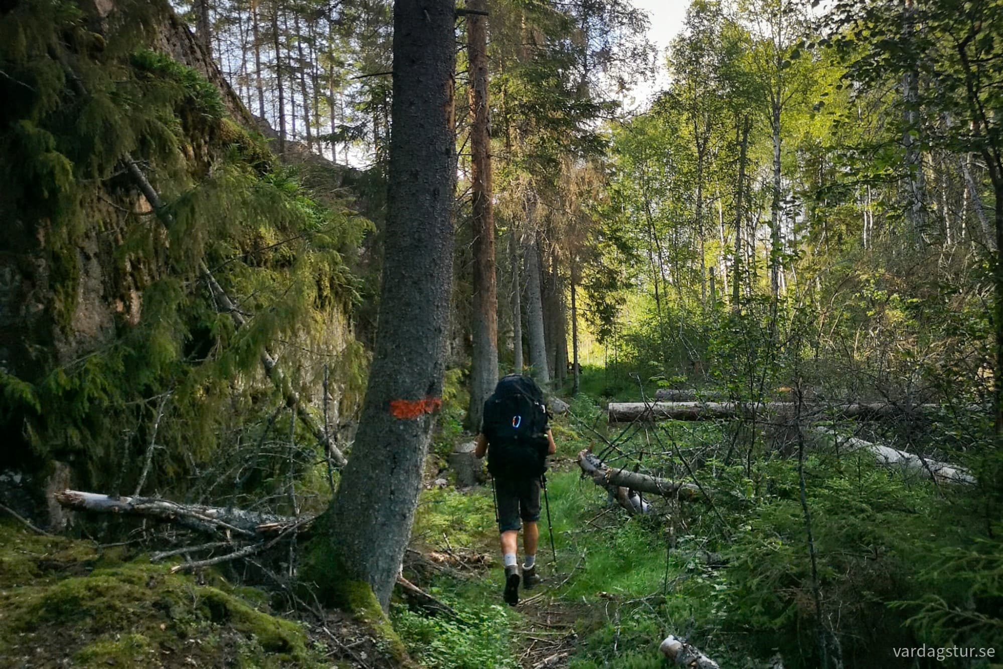 wp-17277103391458736152280060475943