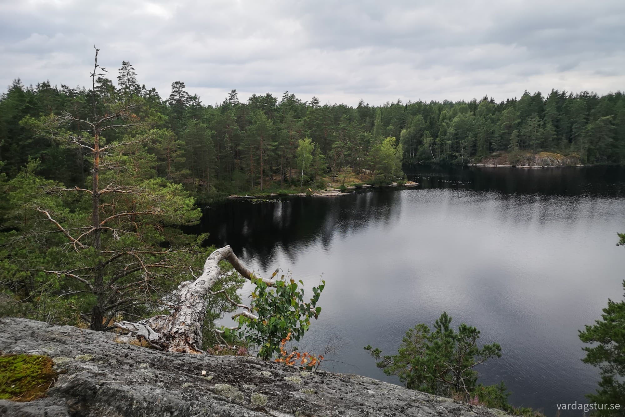 wp-17279673344805252953016849602417