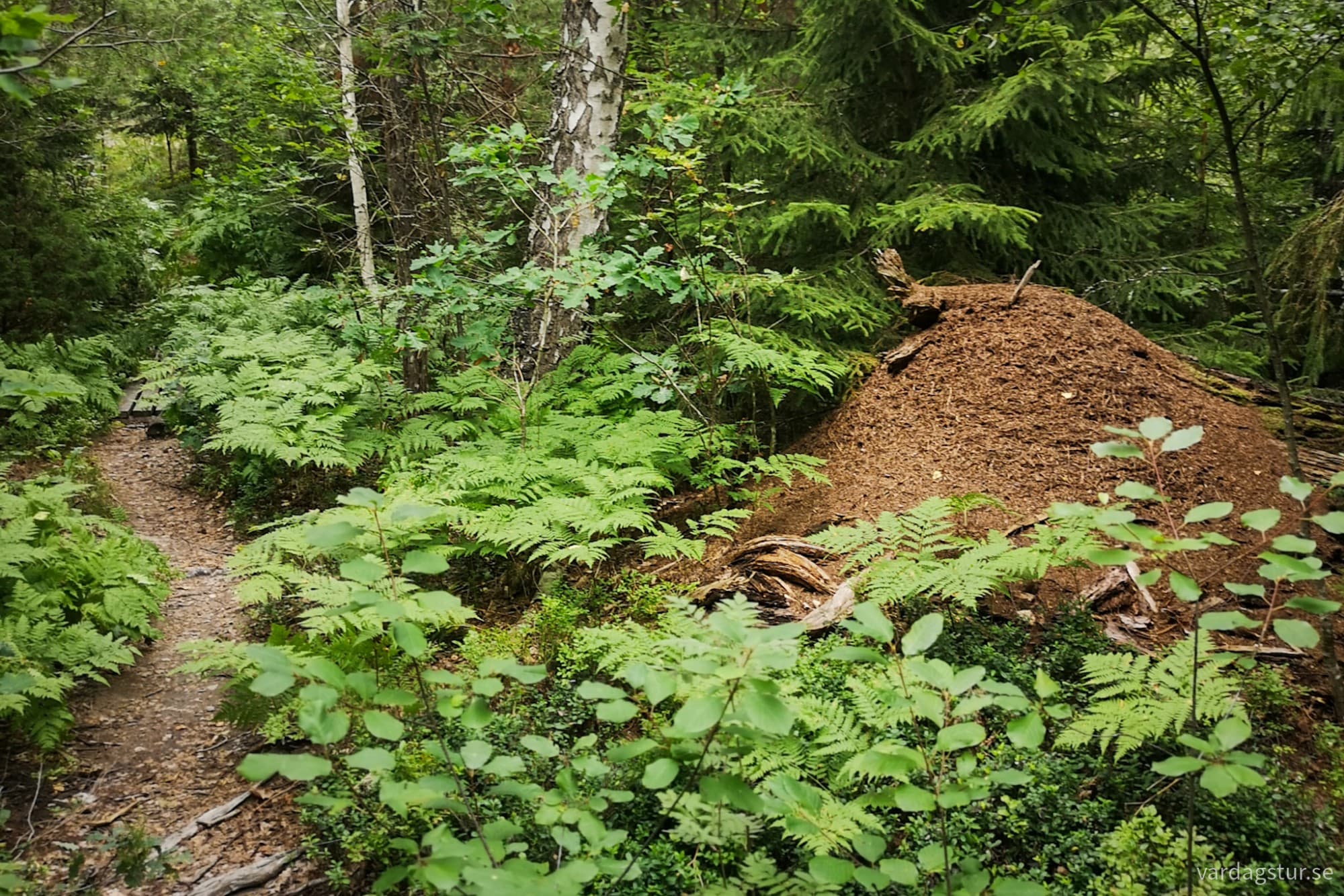 wp-17279673341981800349335072387270