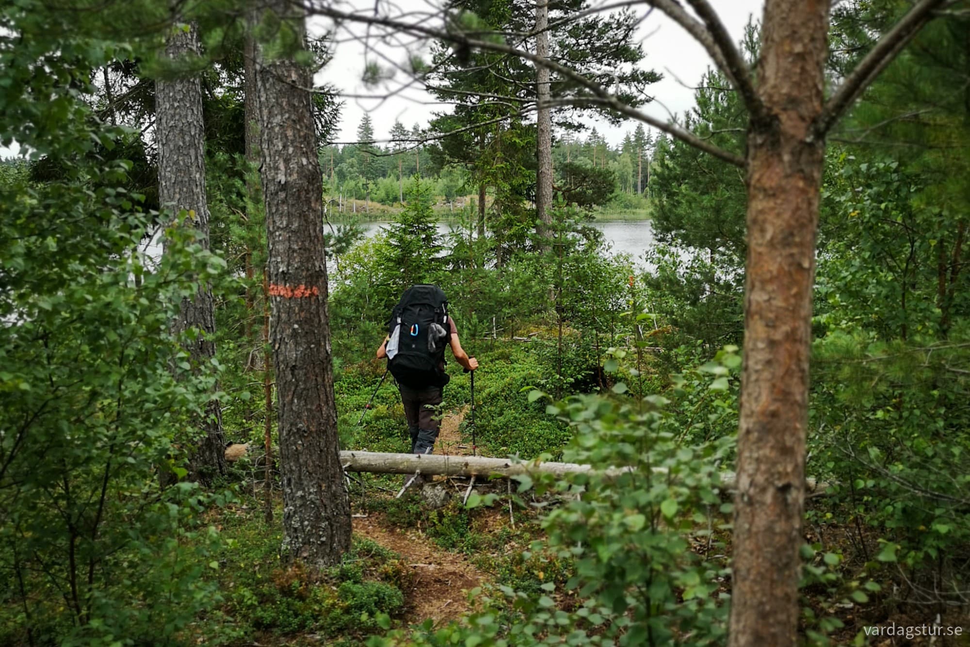 wp-1727967334929525123743831943055