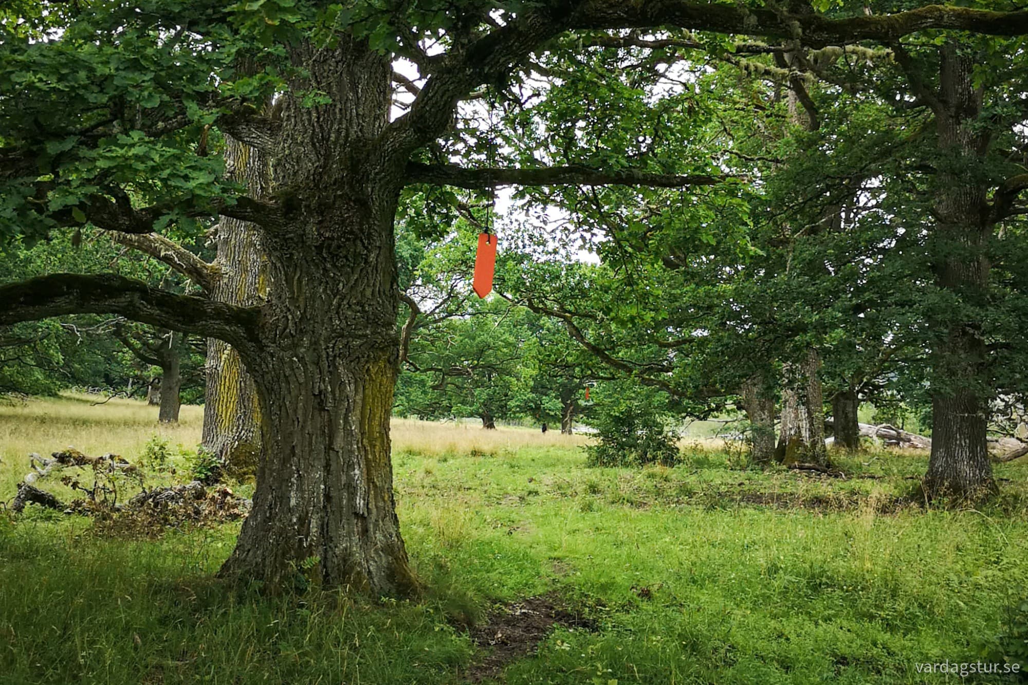 wp-17279673361003358098155793187679