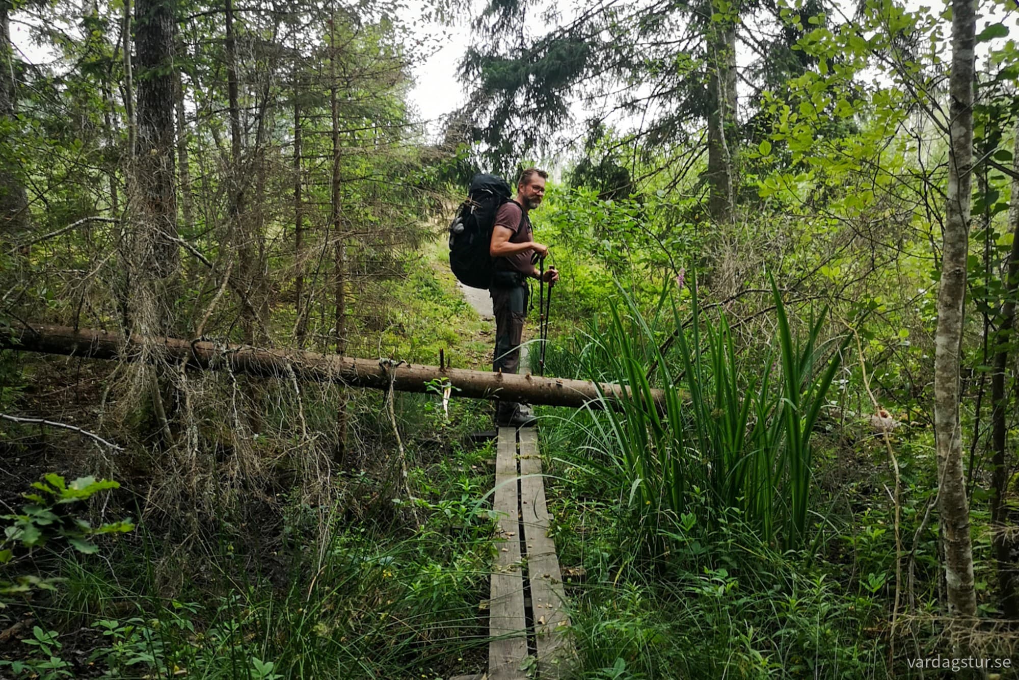 wp-17279673366437932180537554471516