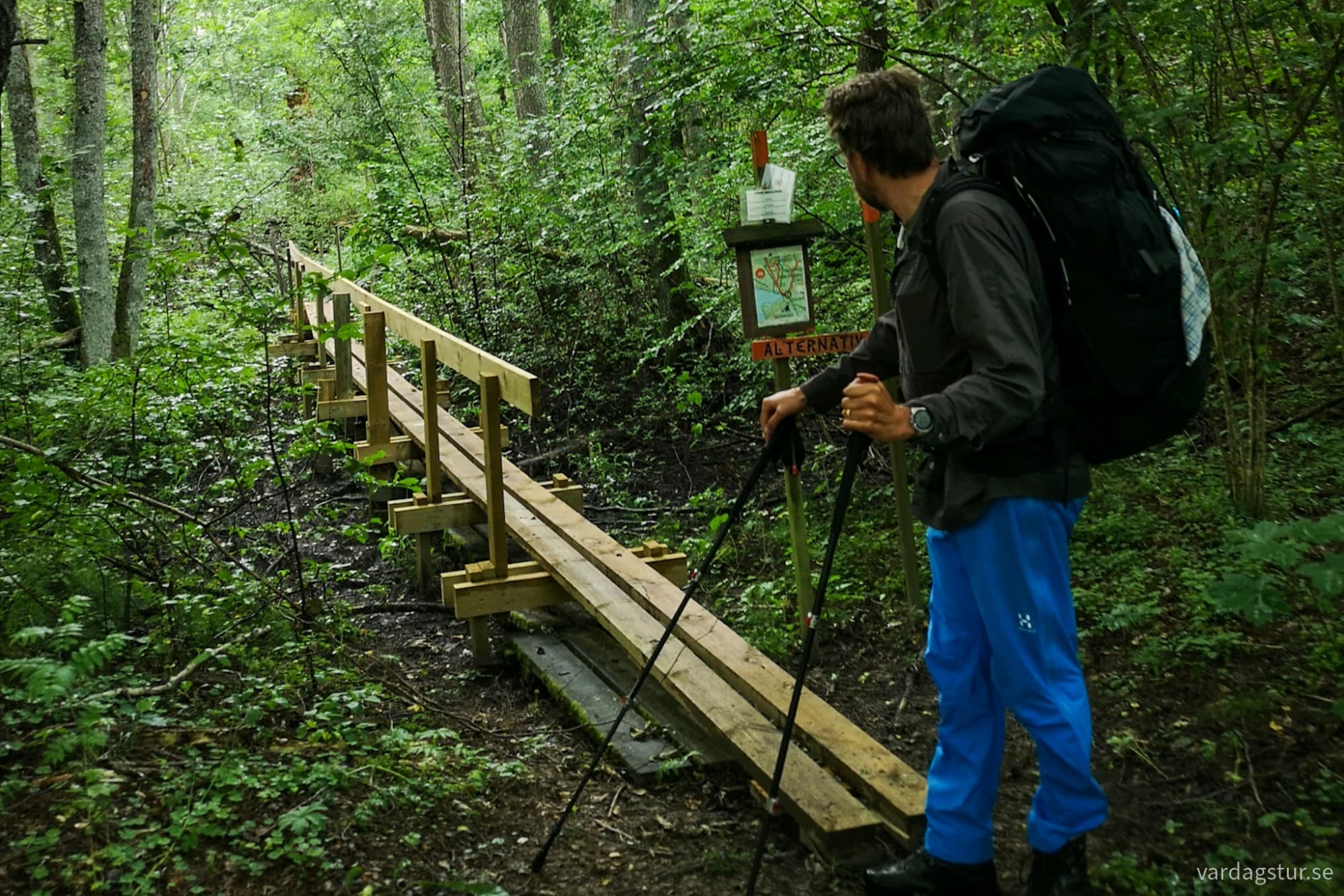 wp-17279682211094186349217794134527