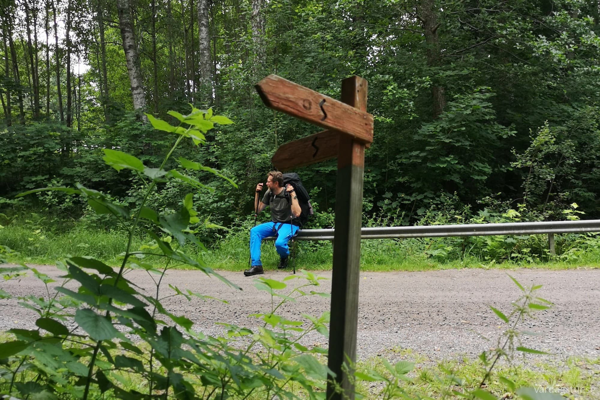 wp-17279682213671868700256177056538