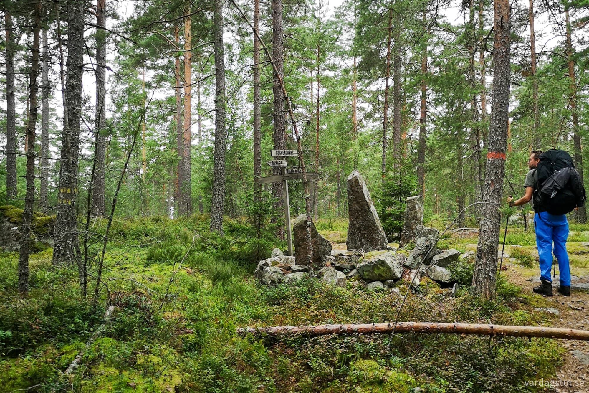 wp-17279682205551955197694603678304