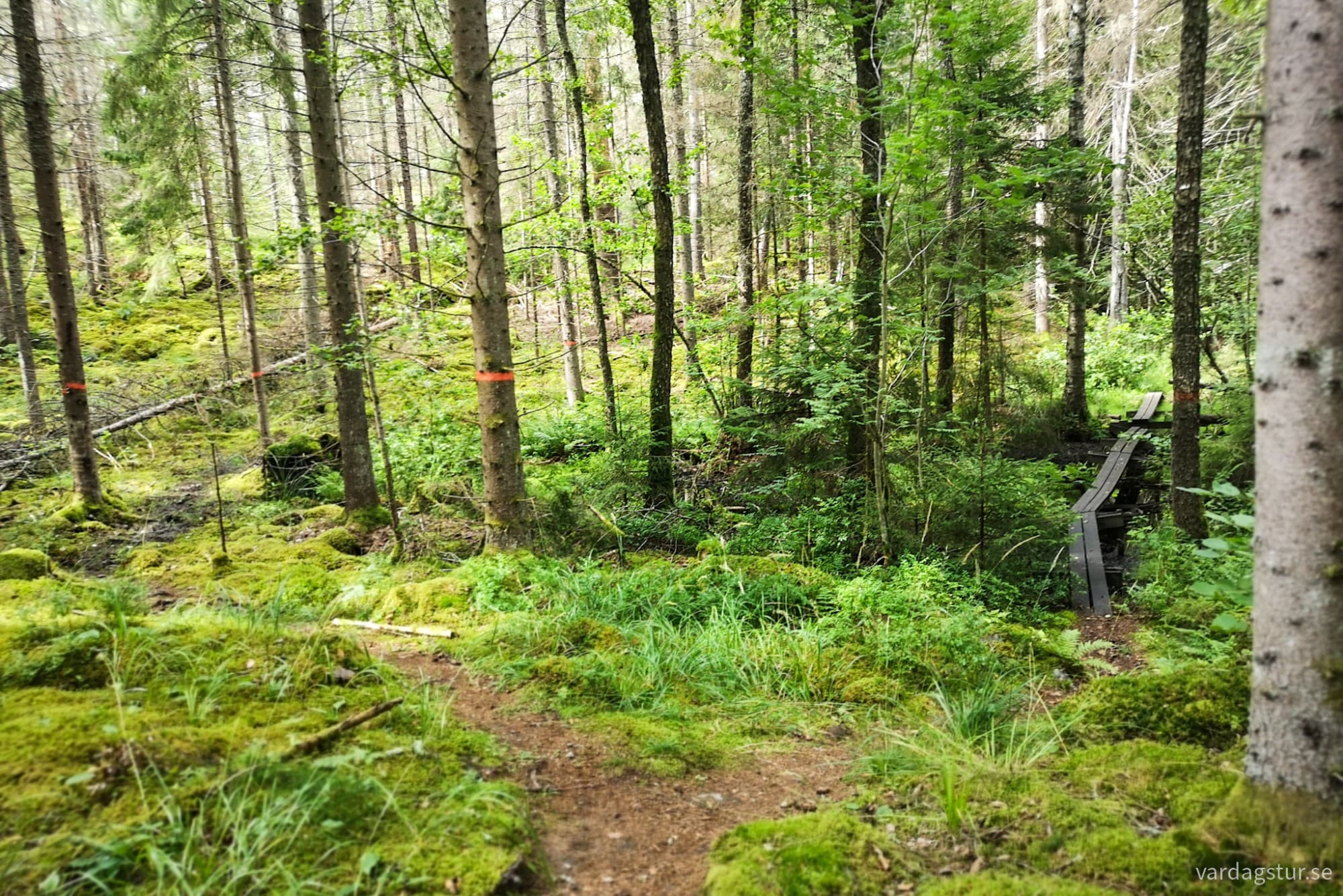 wp-17279682208162183634308585361103