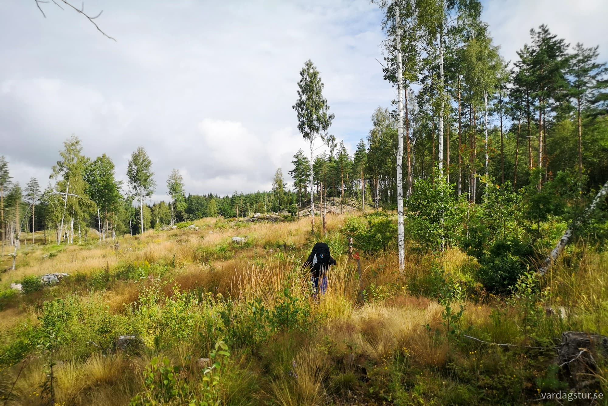 wp-17279682216218808946270232700444