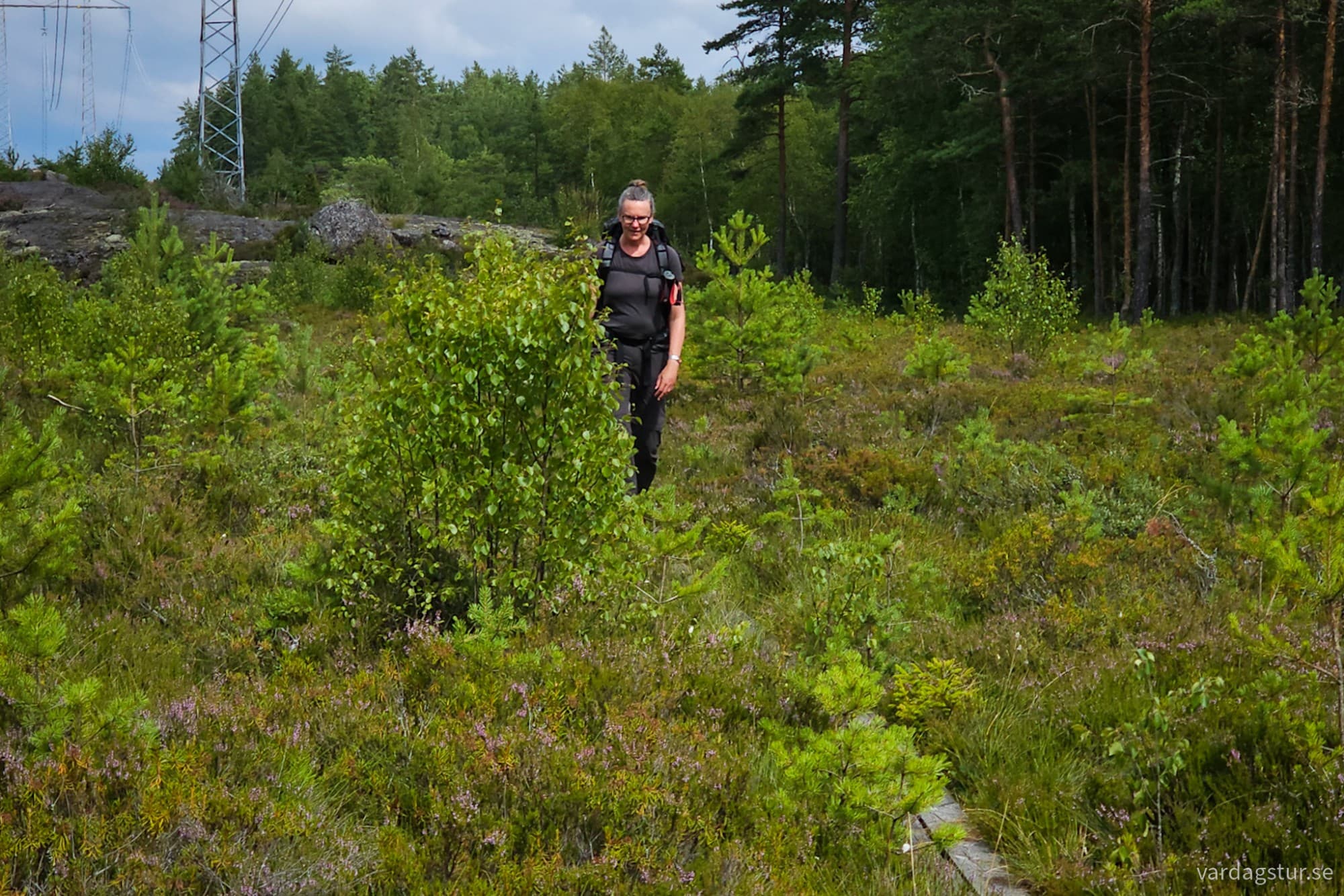 wp-17281110500086585854092968048441