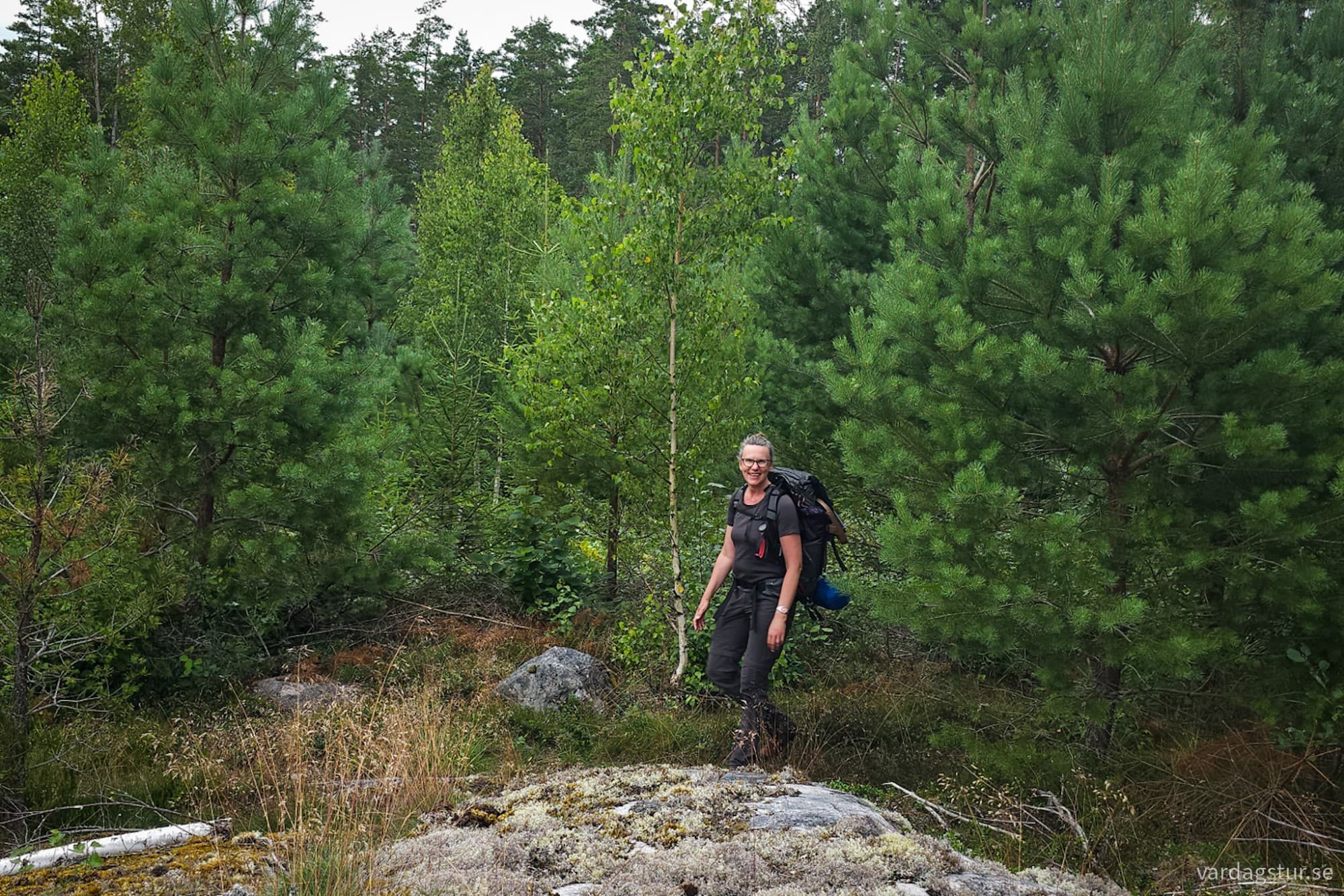 wp-17281110495316113666642746834299