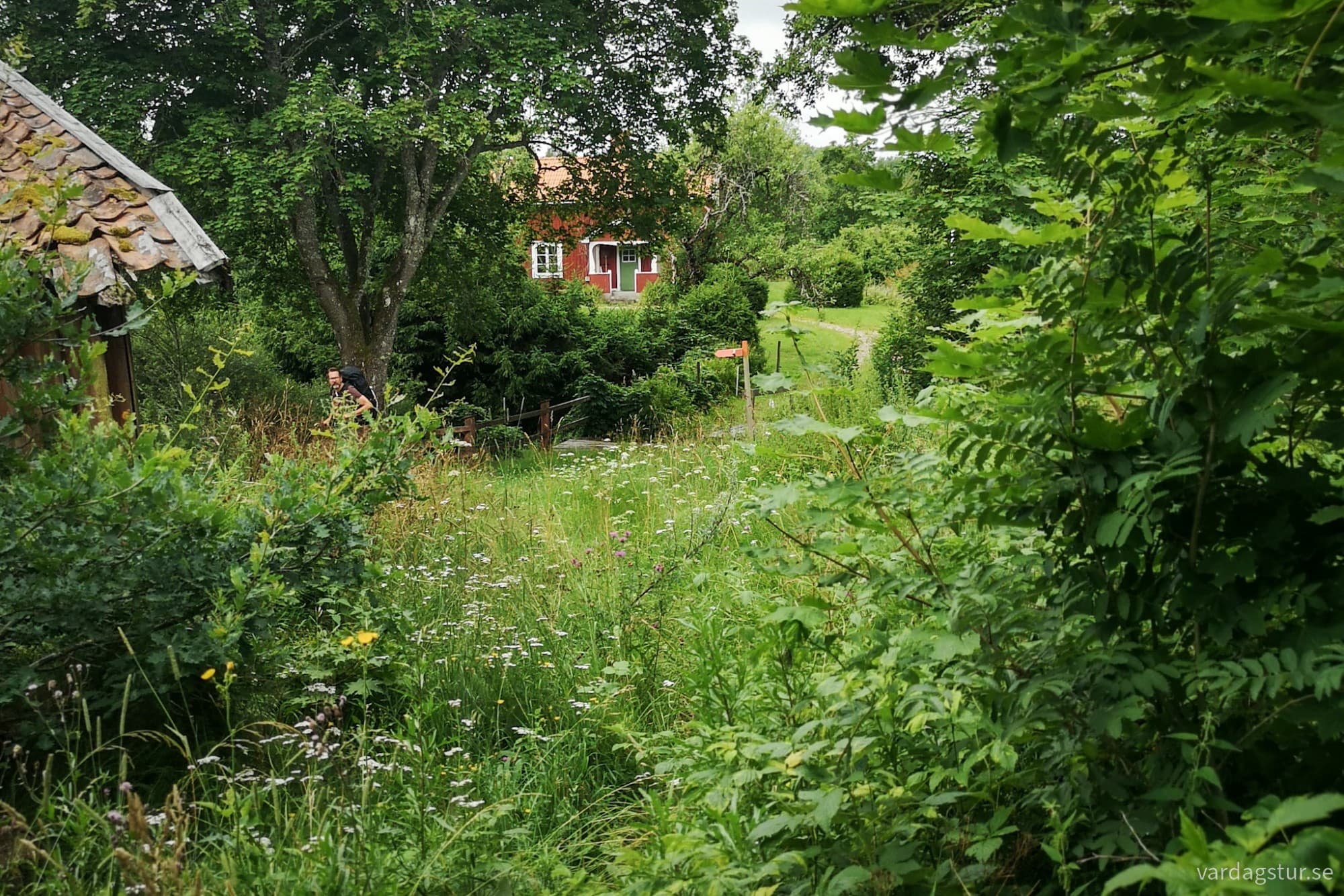 wp-17281142425072498266488943591650