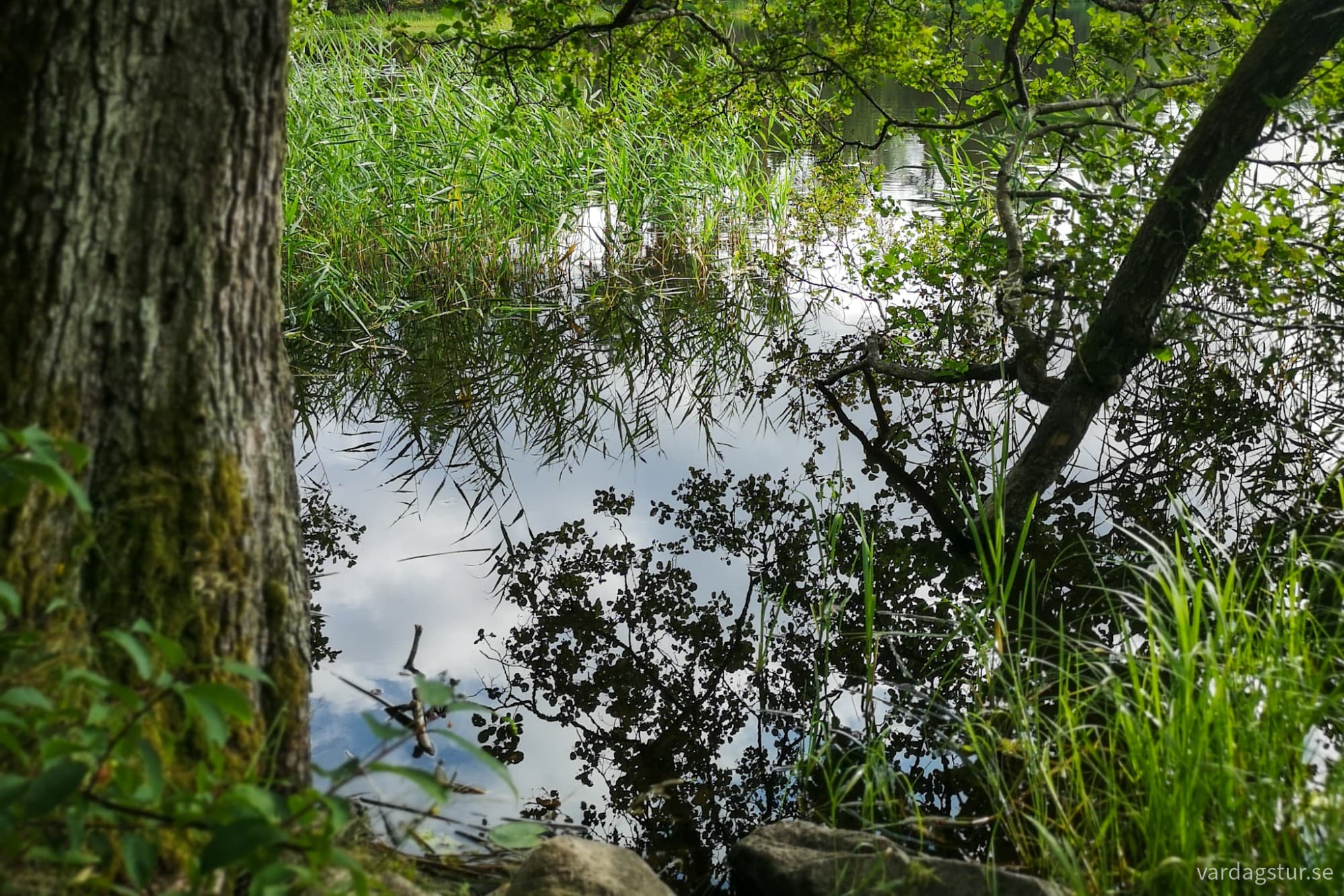 wp-17281182583268953917808583064826