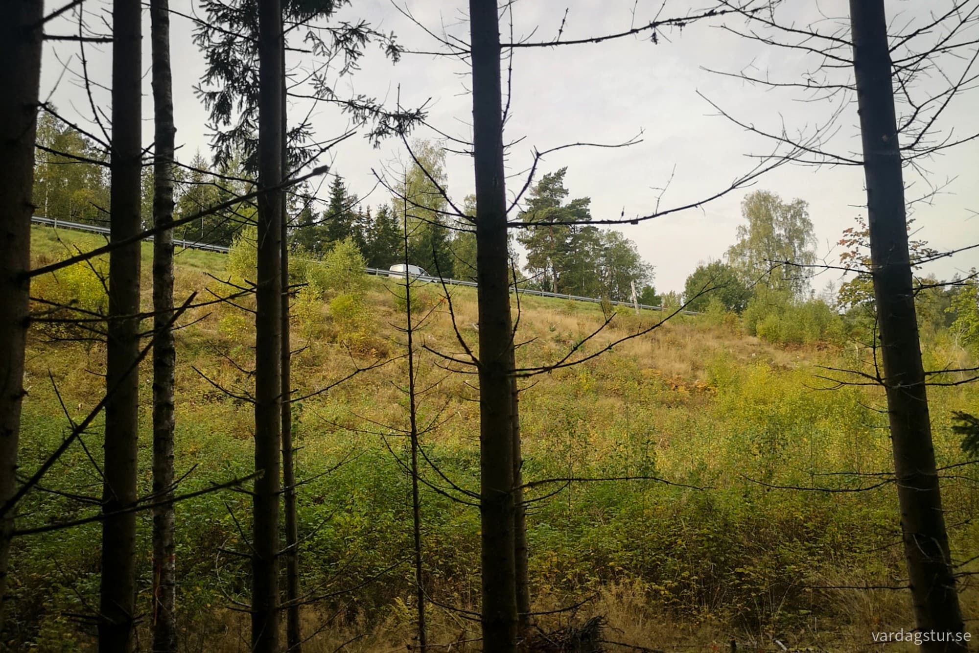 wp-17281517142898075192070830399133