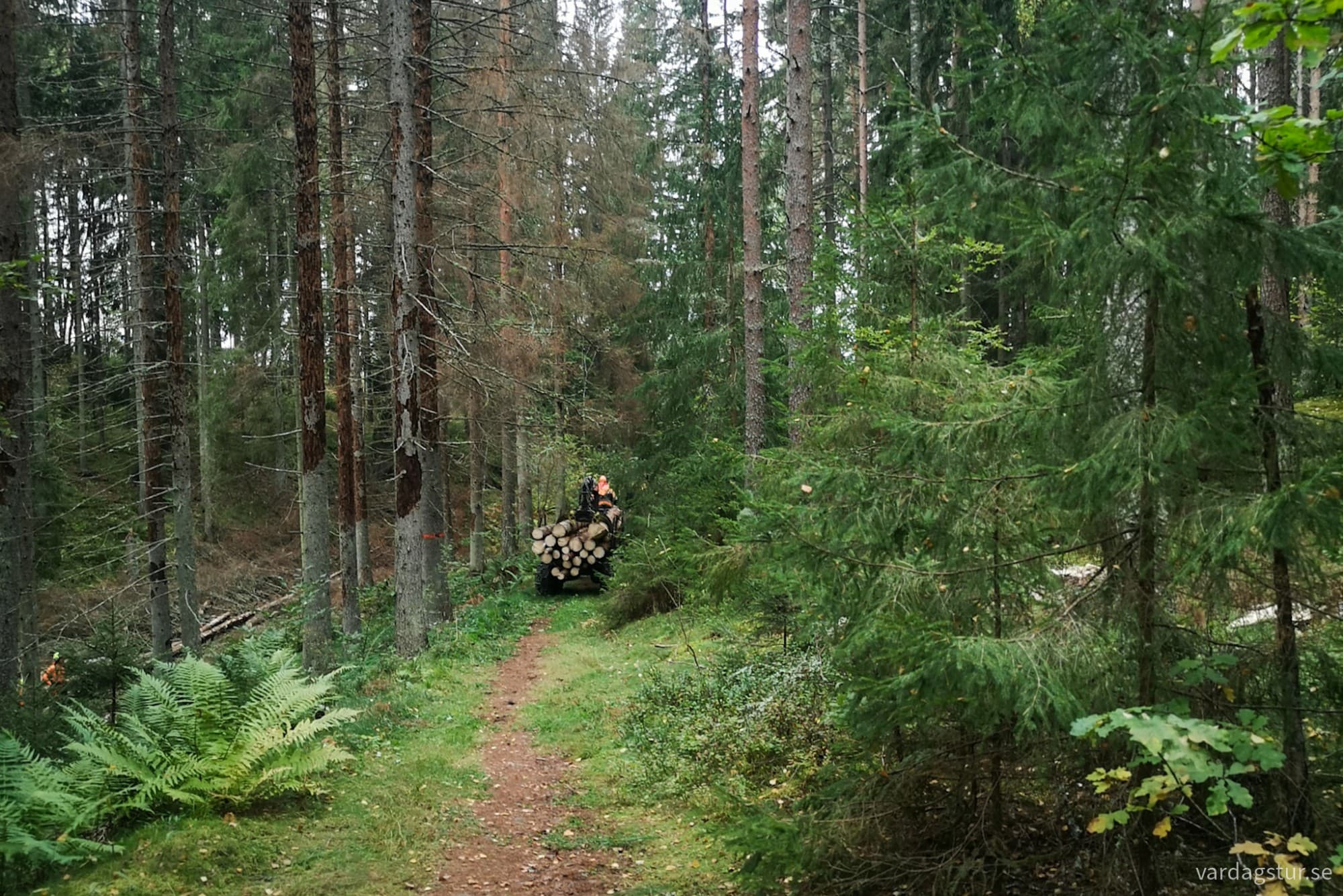 wp-17281517164388192708020769115099