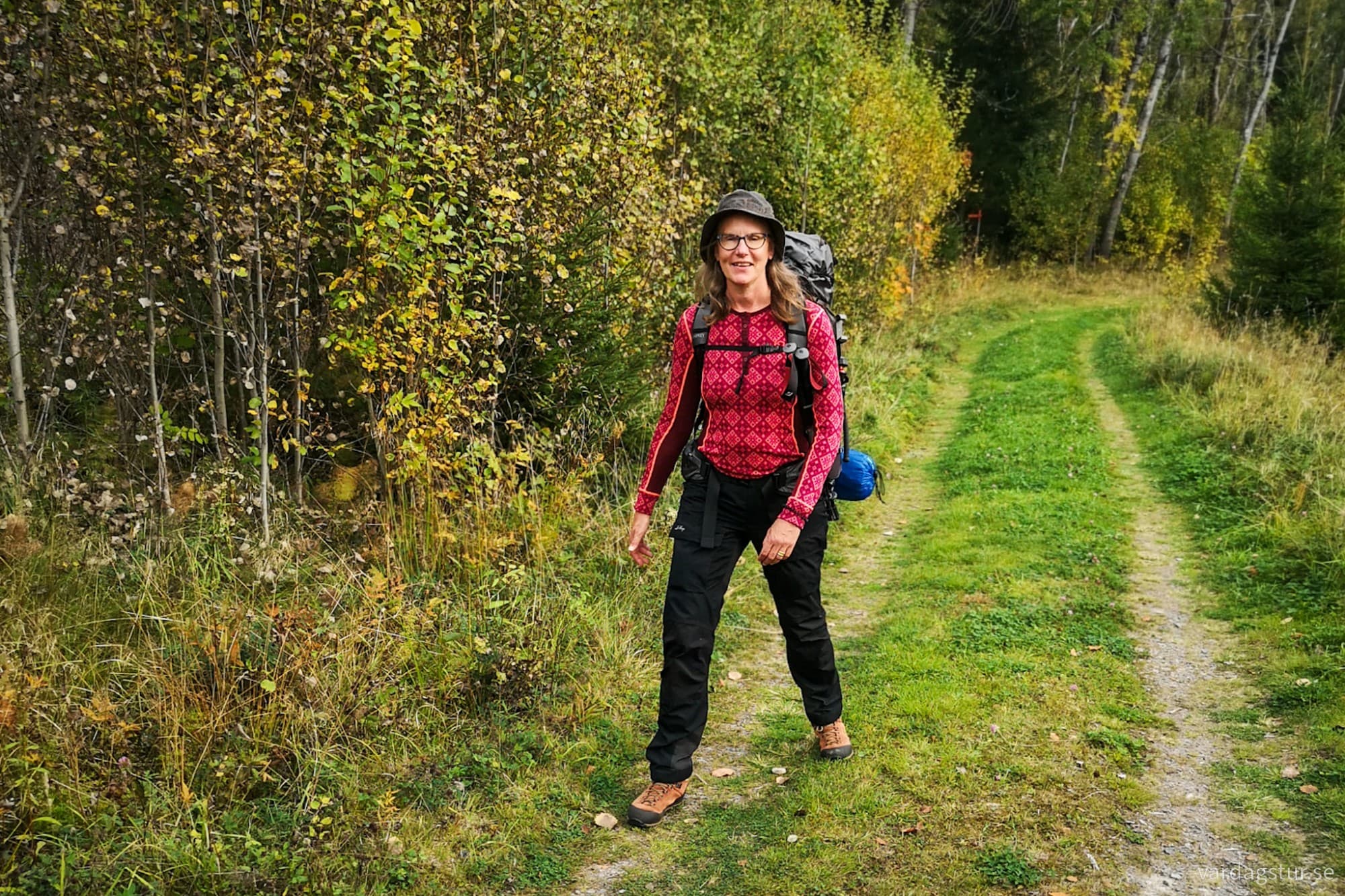 wp-17281517167048776075673228804834