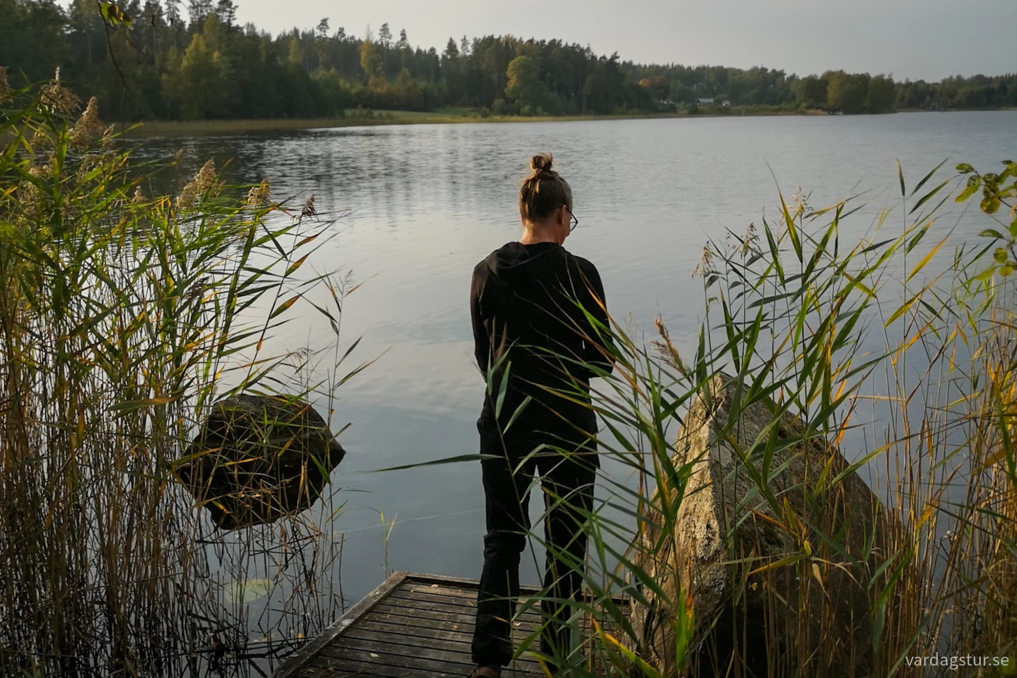 wp-17281517169855796486354270896903