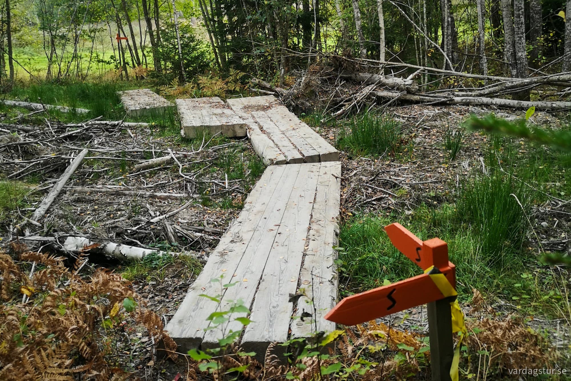 wp-17281517153957014061419403695367