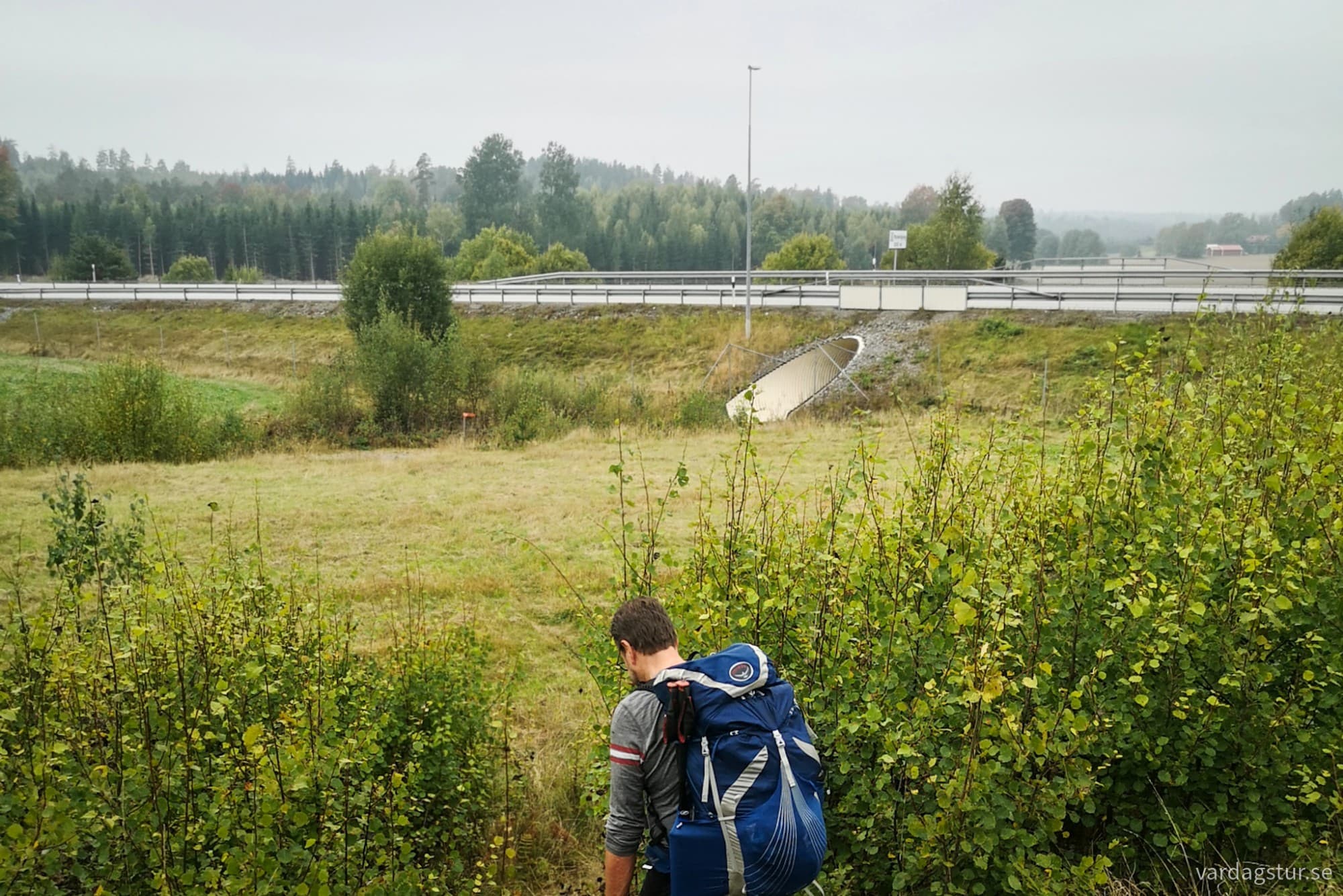 wp-17281517172128739019054004251262