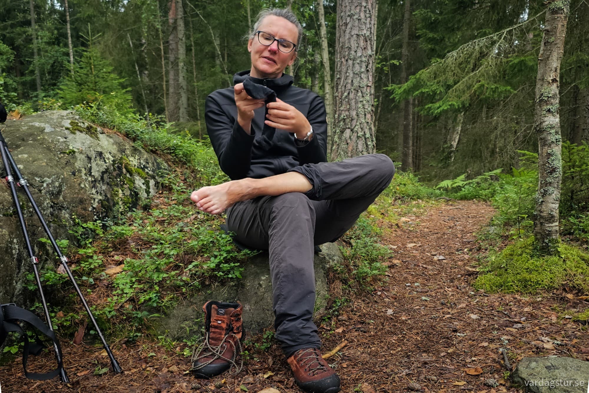 wp-17281972969259104678092323614544