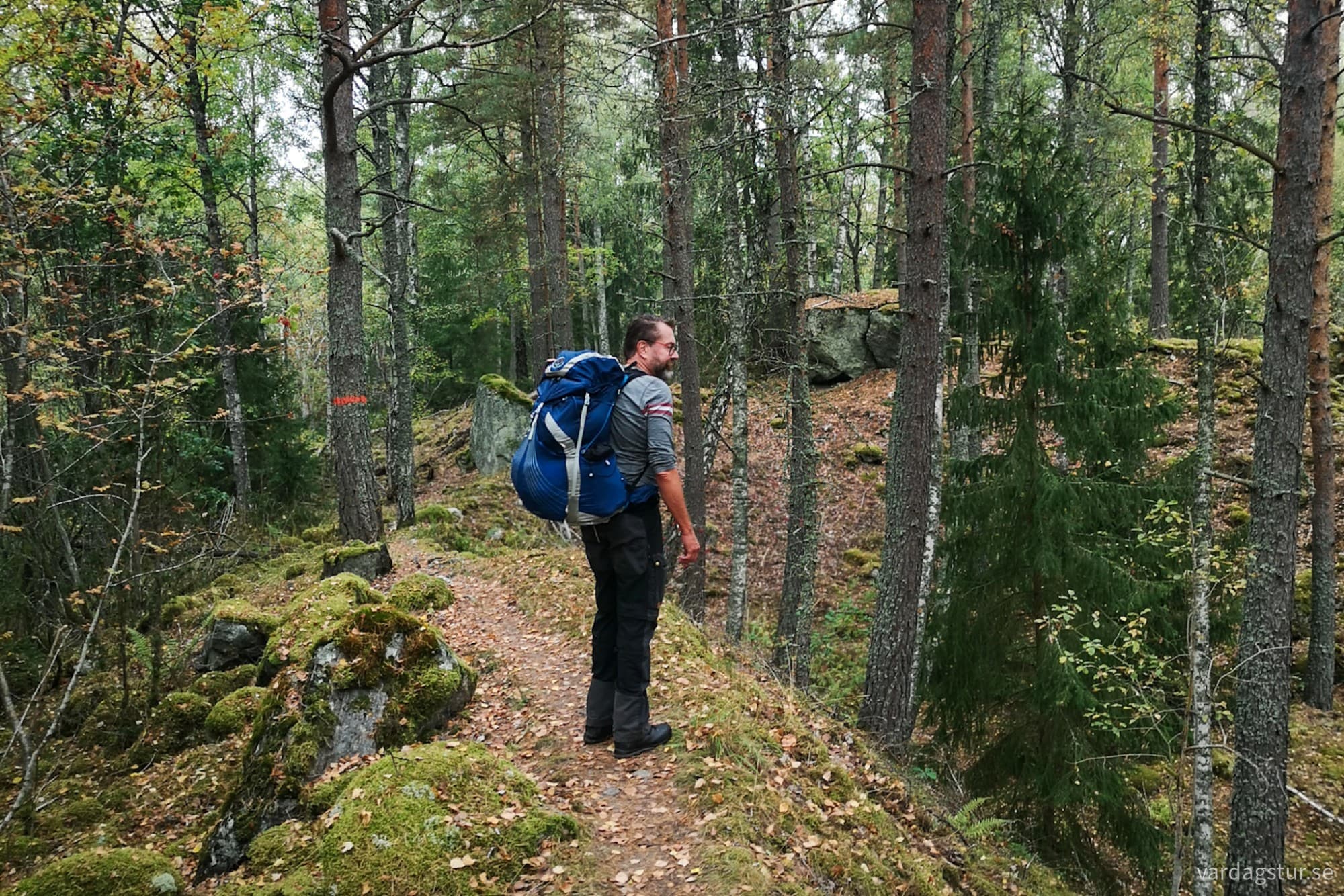 wp-17284126471373782919368311447413