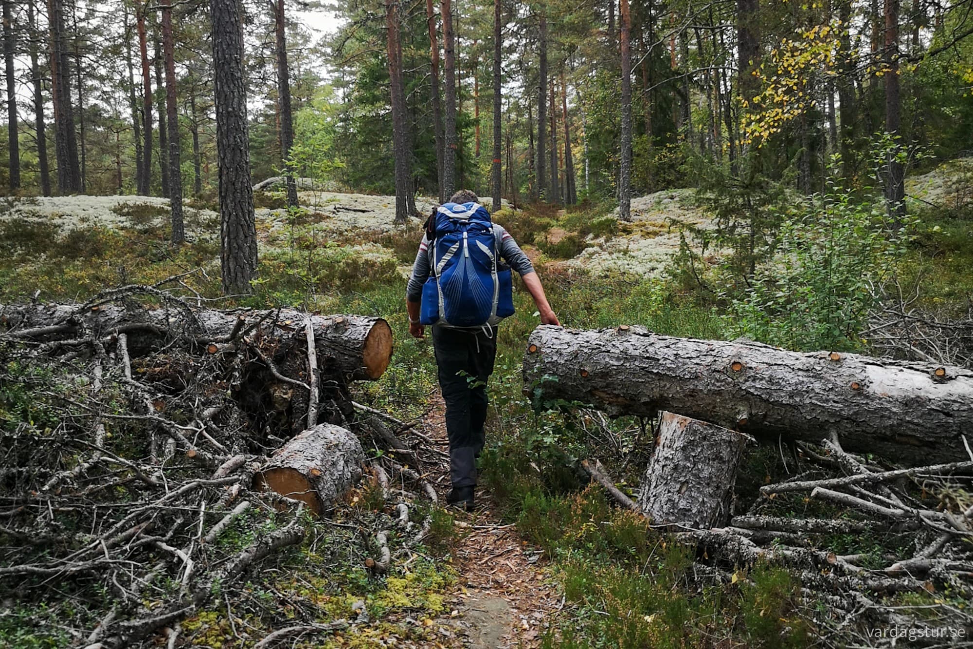 wp-17284126468992195483824804061889