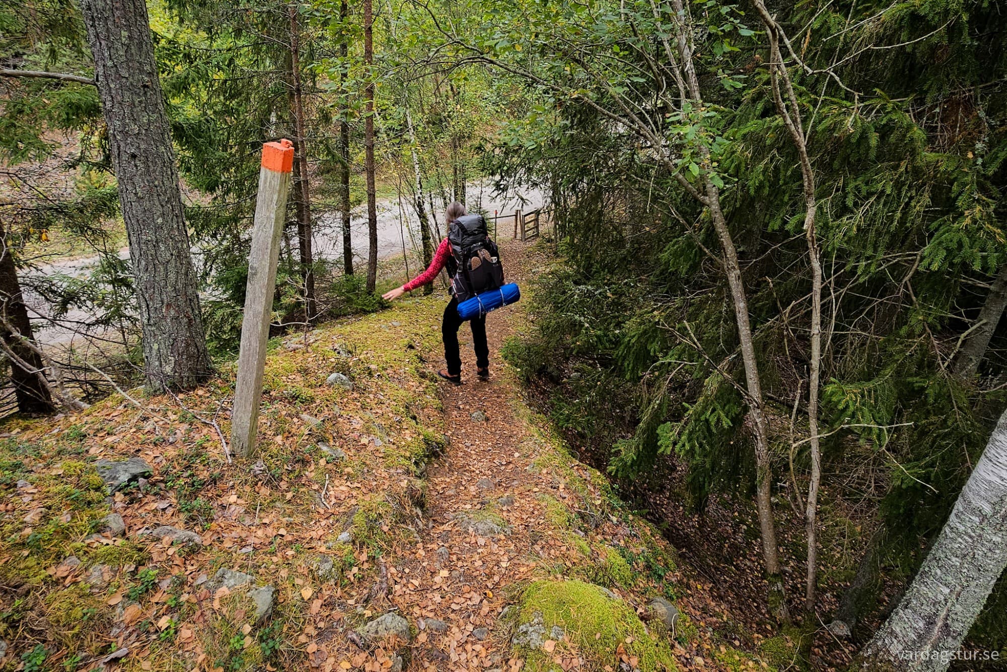 wp-17284926703303239931440765927956