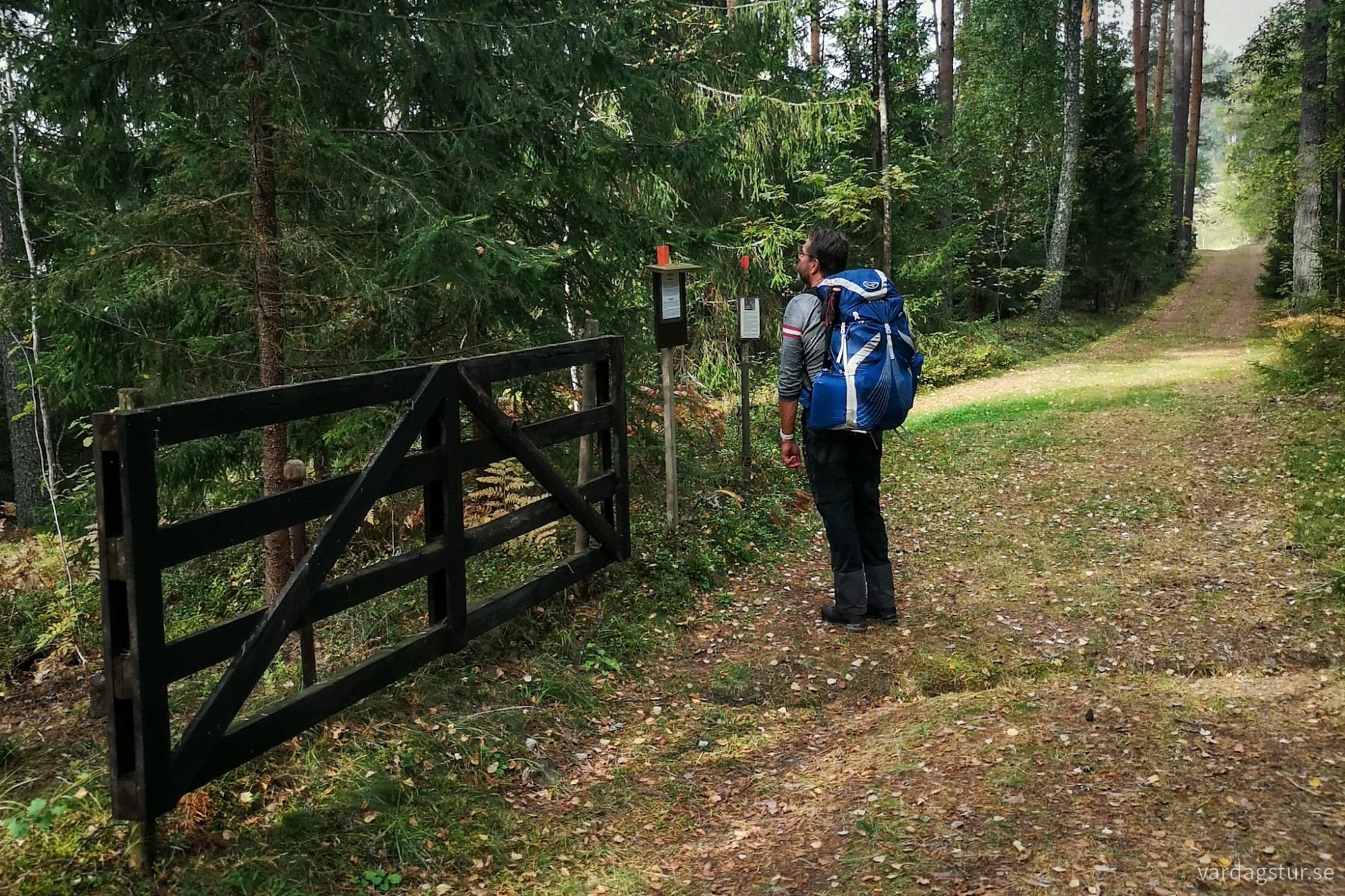 wp-17284934918473457334170119135913