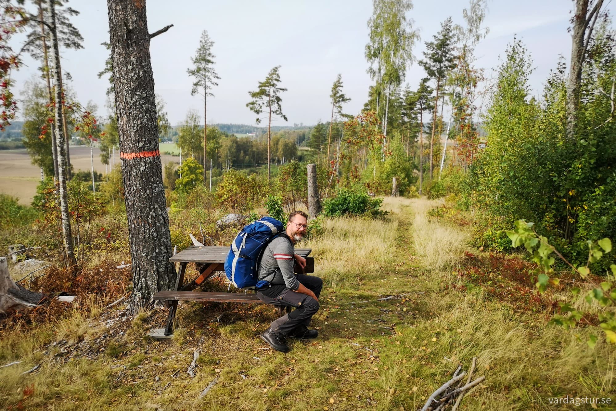 wp-1728494624252853363996487190073