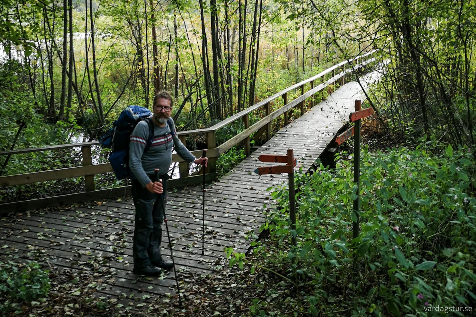 wp-17285866657243397856381641684238