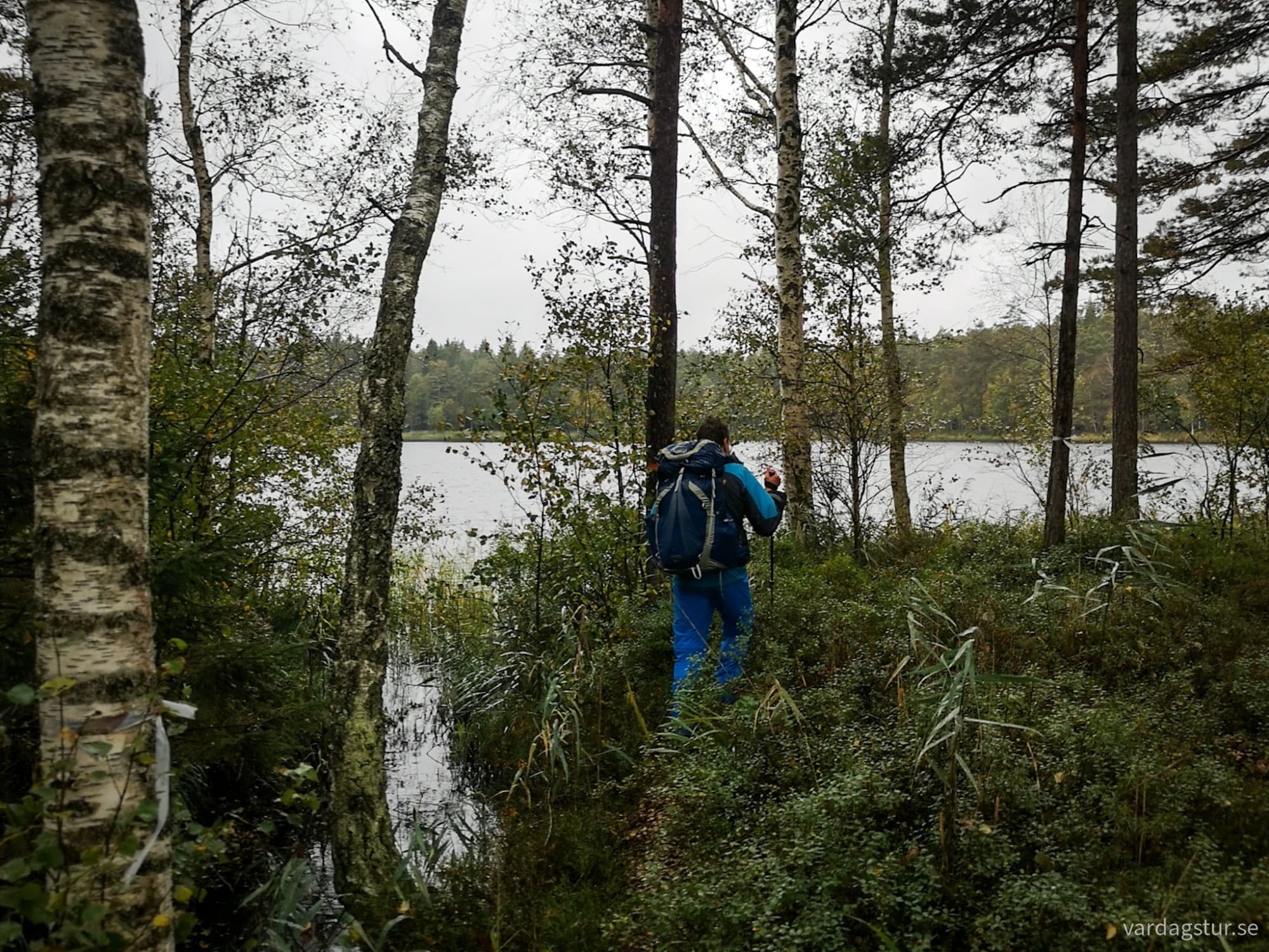 wp-17285866653812570740964127531267