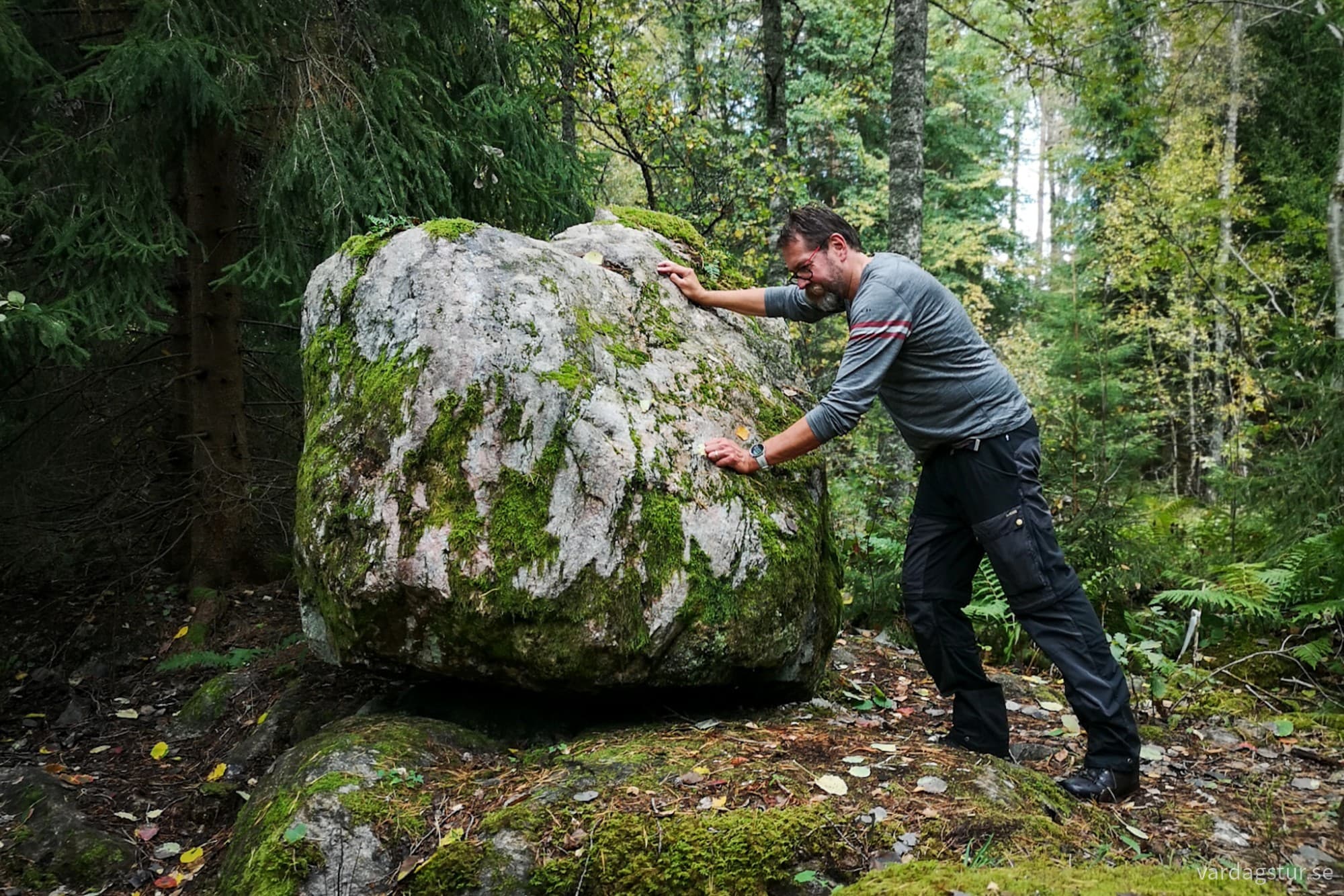 wp-1728586667160682123760061946307