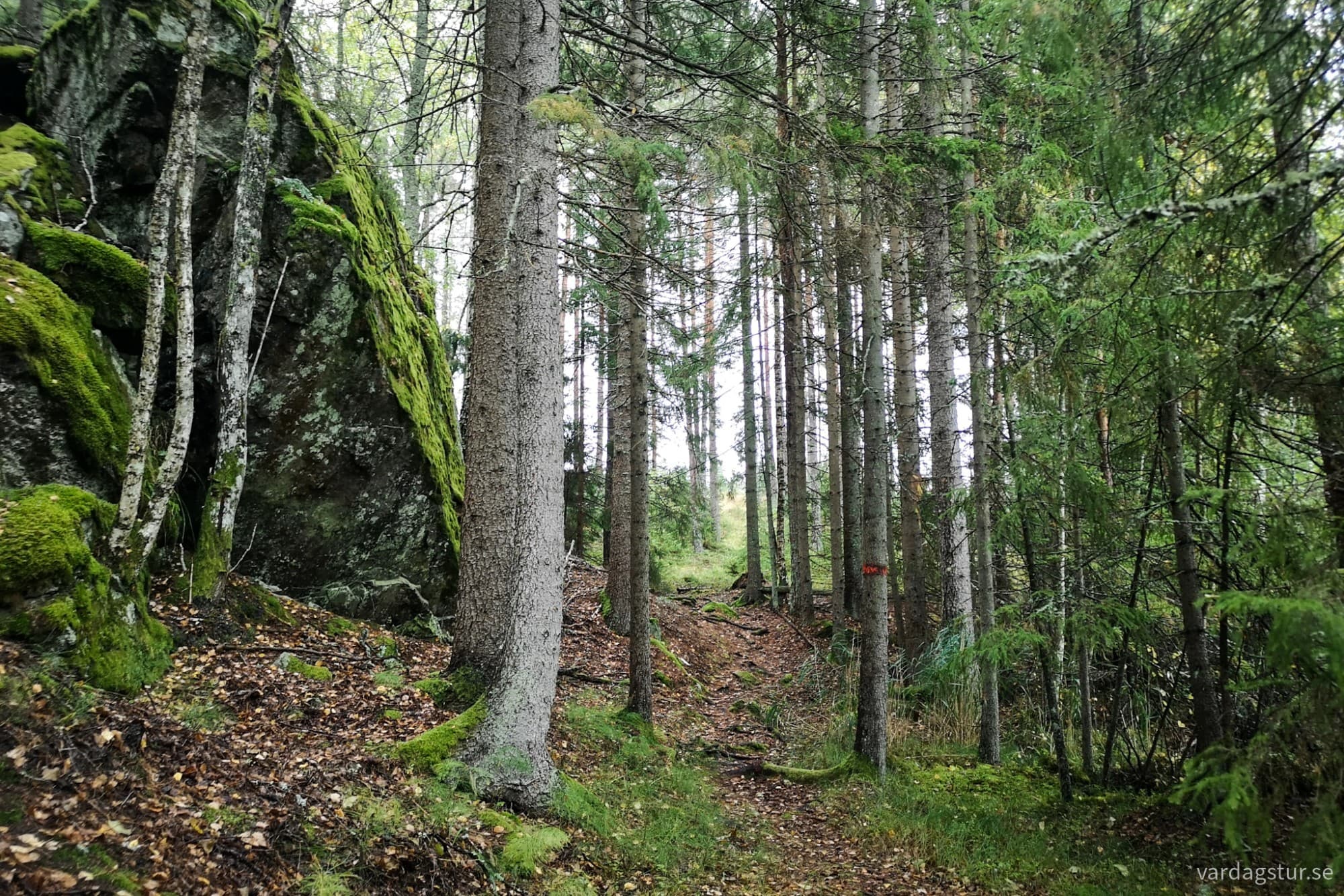 wp-17285866668074494362926683158702