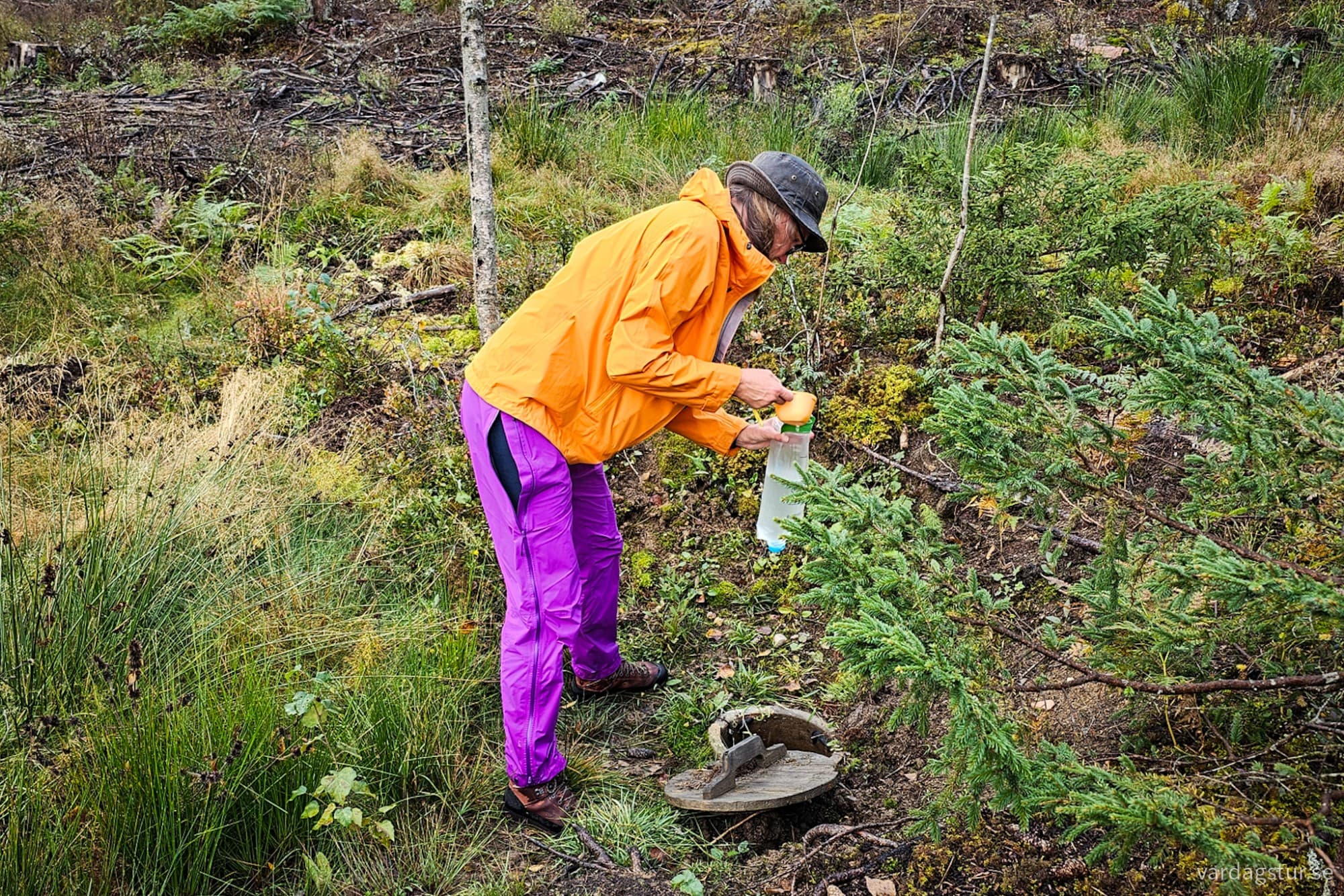 wp-17285866663555780681596490575977