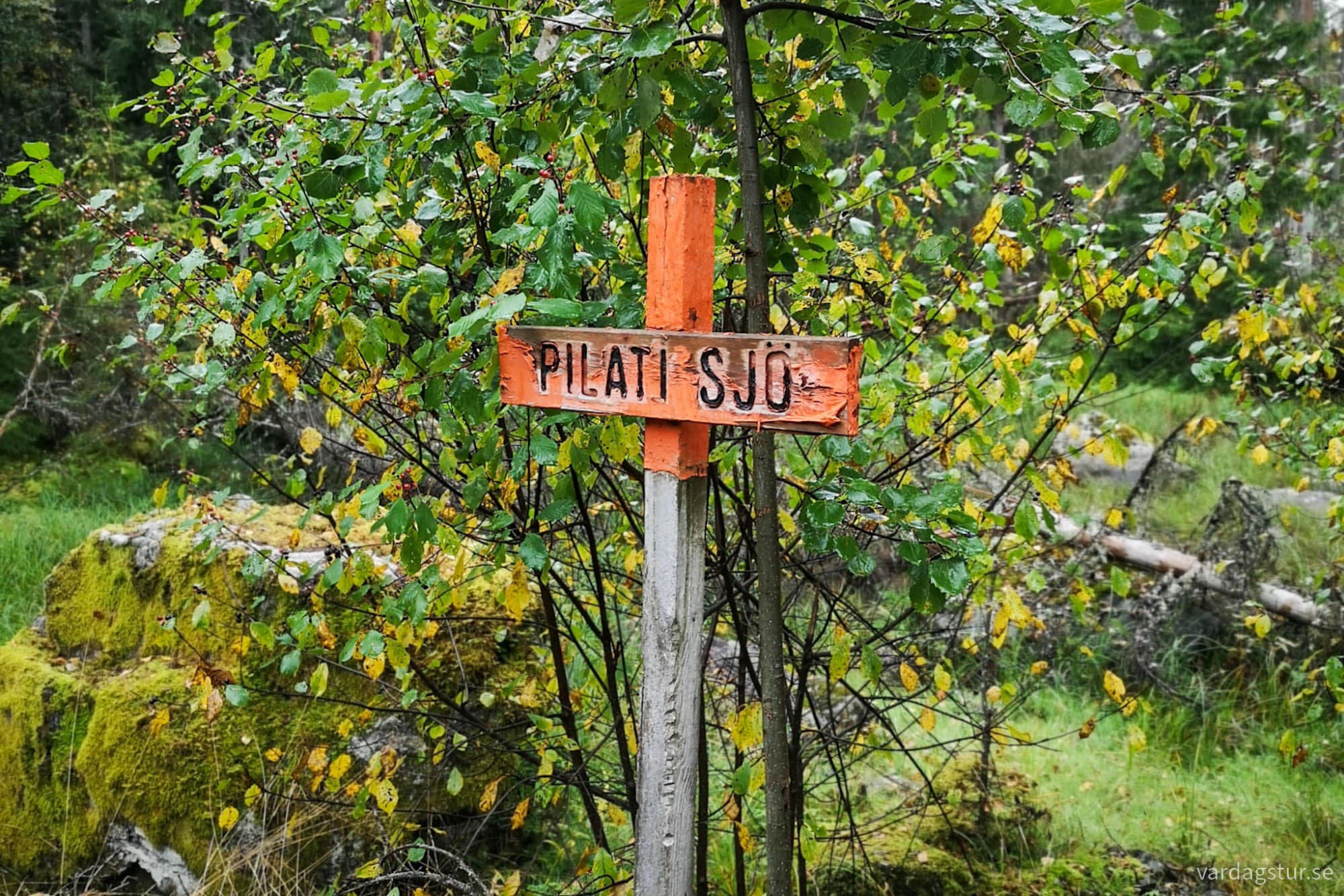 wp-17285866684899045345110638924273