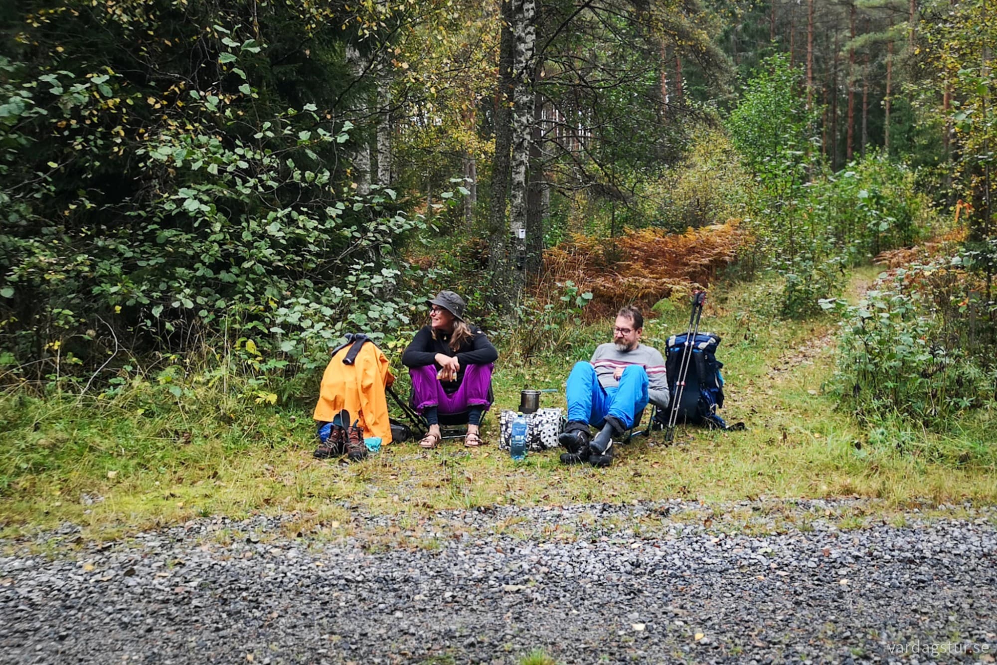 wp-1728586668840435169065548074329