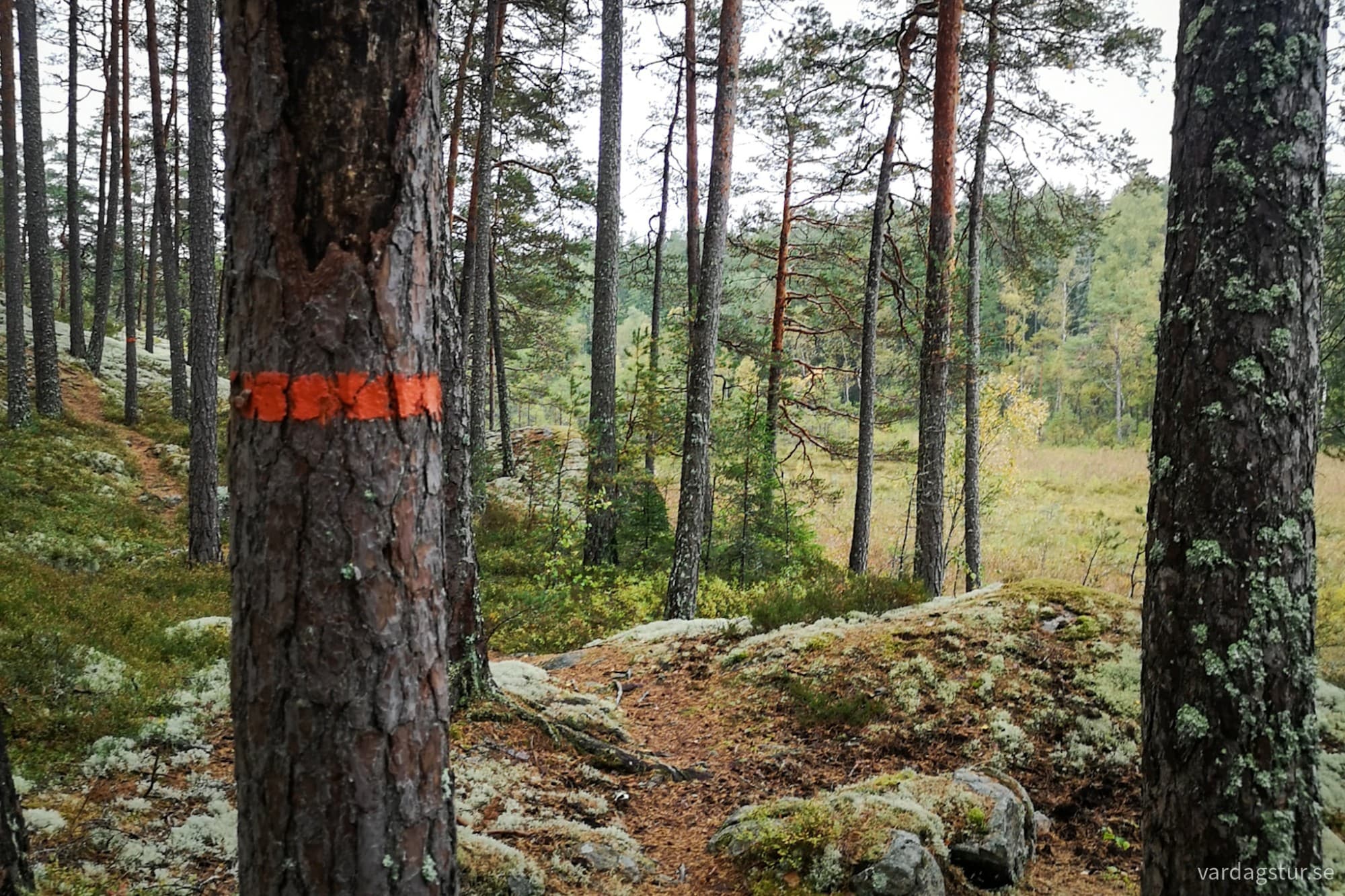 wp-17285866691692496475421823415124