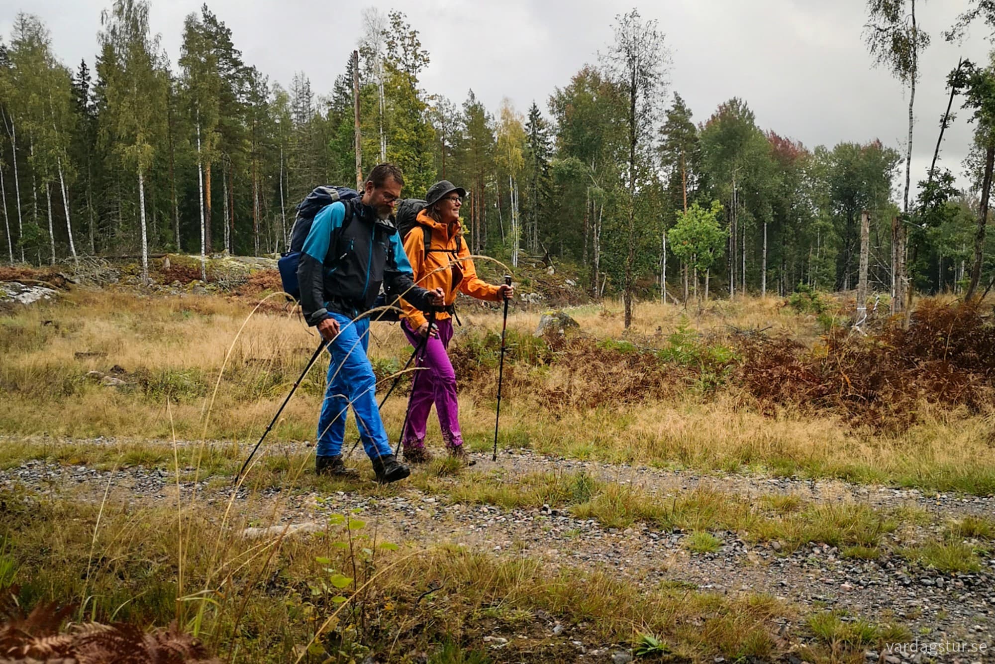 wp-17285866681518336189171106373651