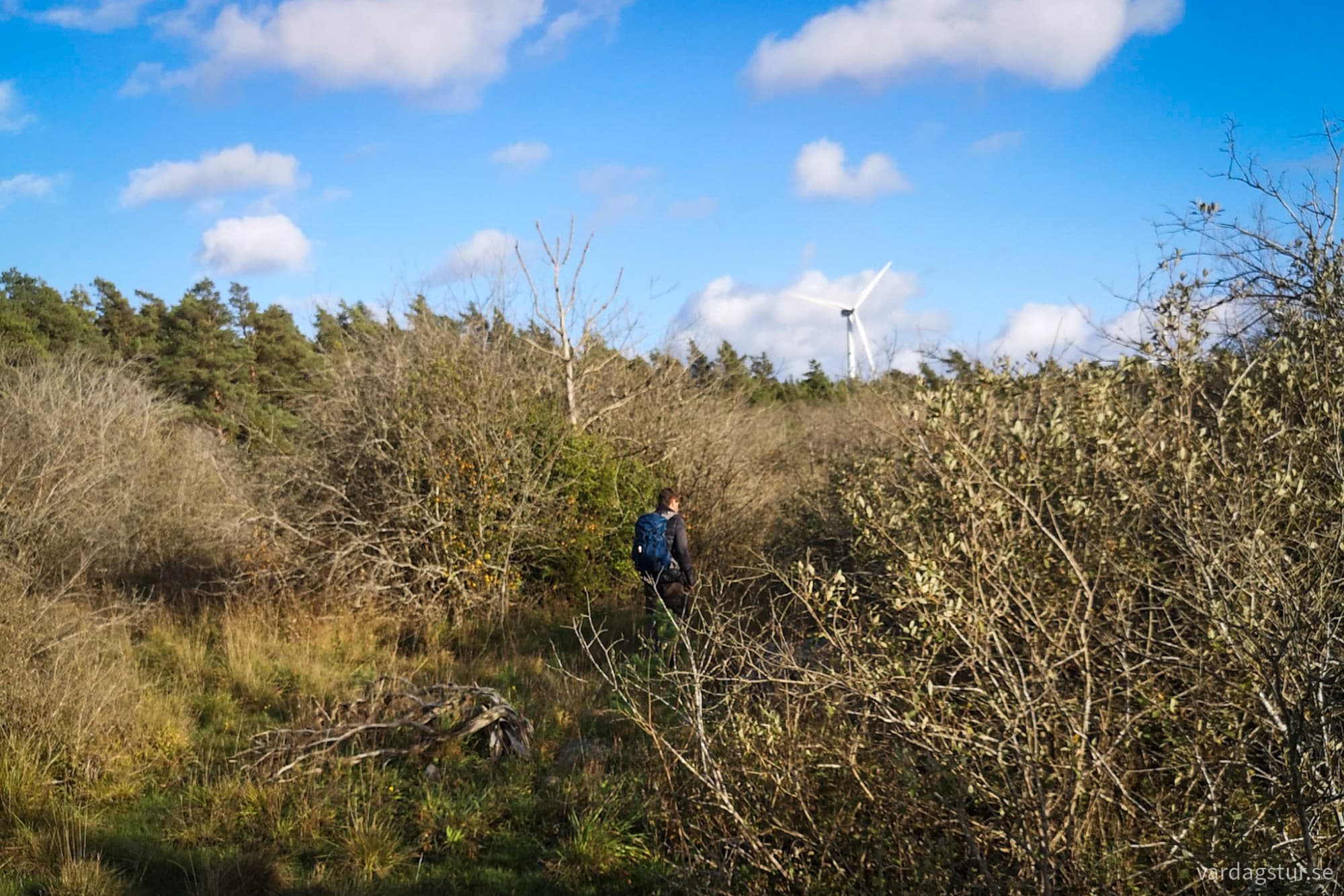 wp-17296997473516514210494144015960