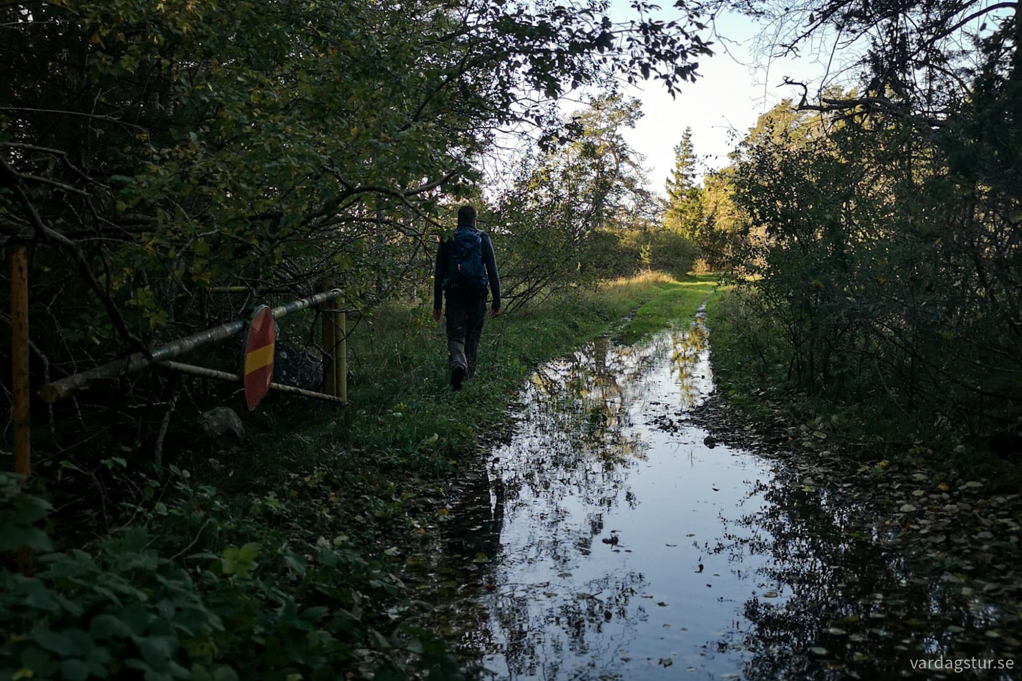 wp-17296997480446831977401712553954