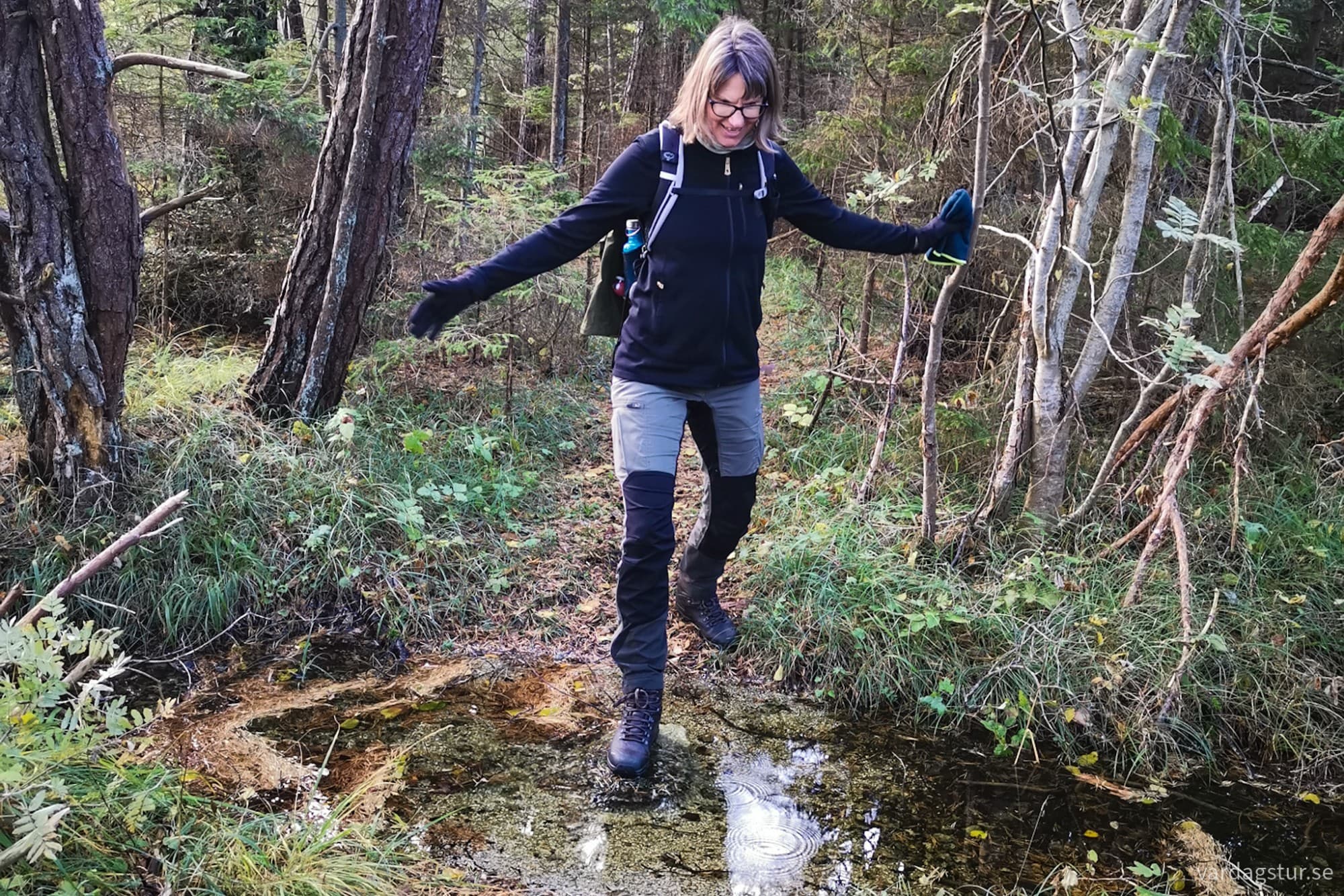 wp-1729699747580348888876739403087