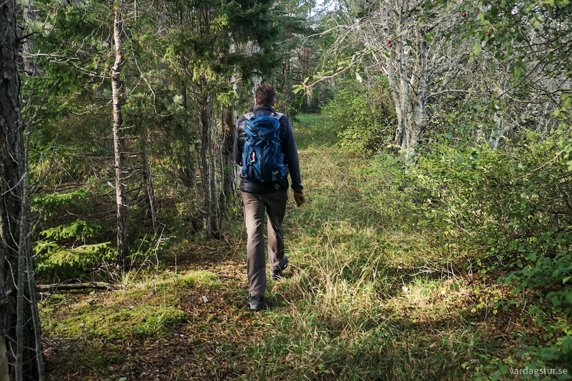 wp-17296997478147028917083796567207