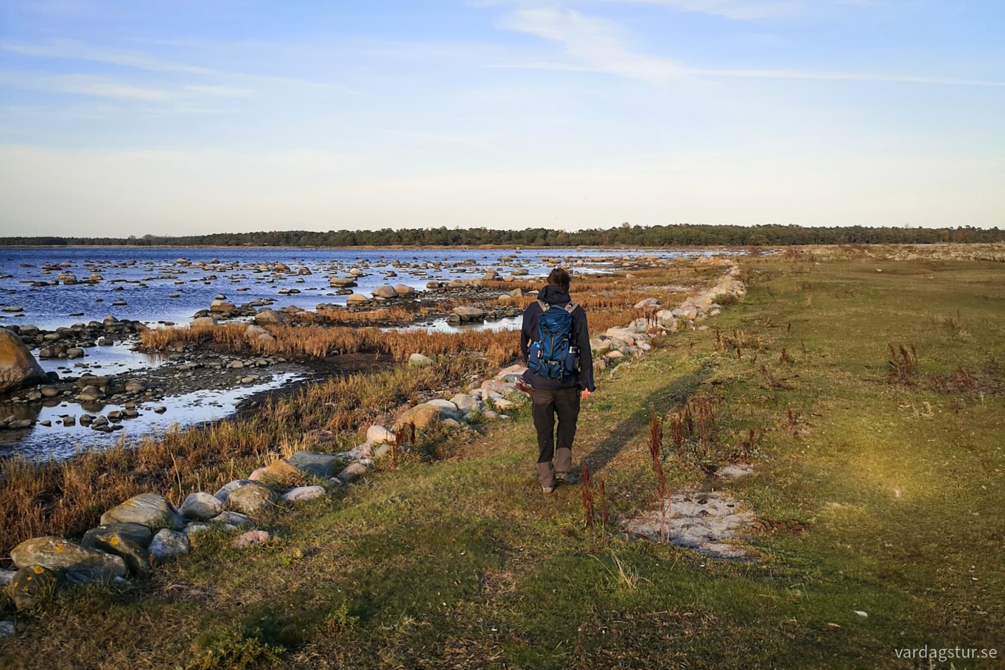 wp-17299256410681808221007637300895